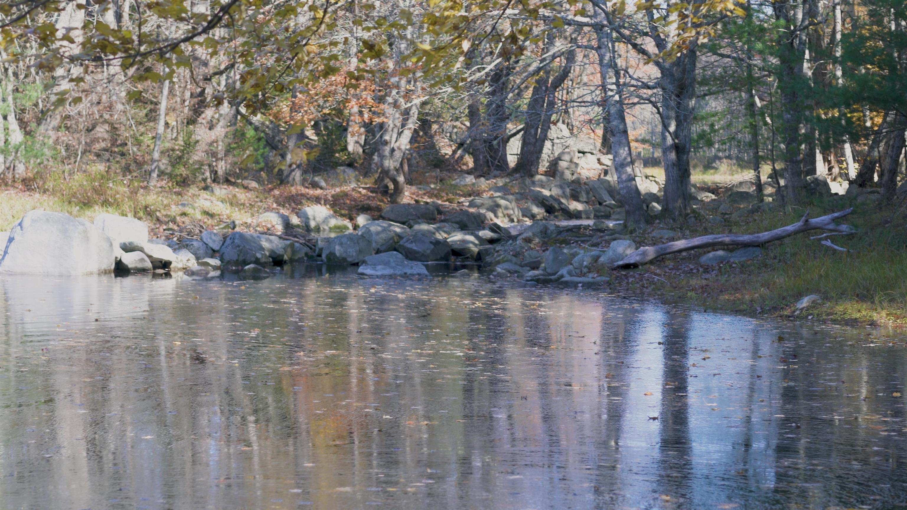 $82,500.00: Lot SS-2 Maple Drive, Lower Ohio