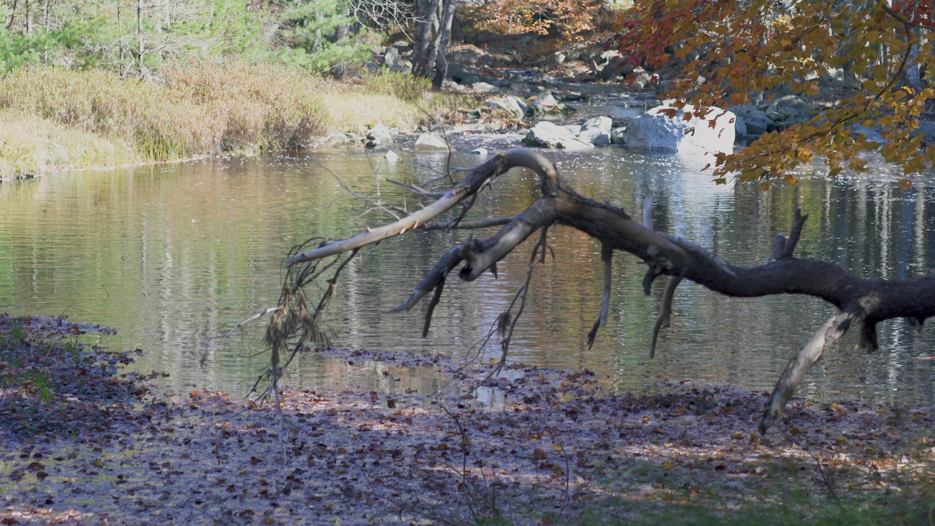 $82,500.00: Lot SS-2 Maple Drive, Lower Ohio