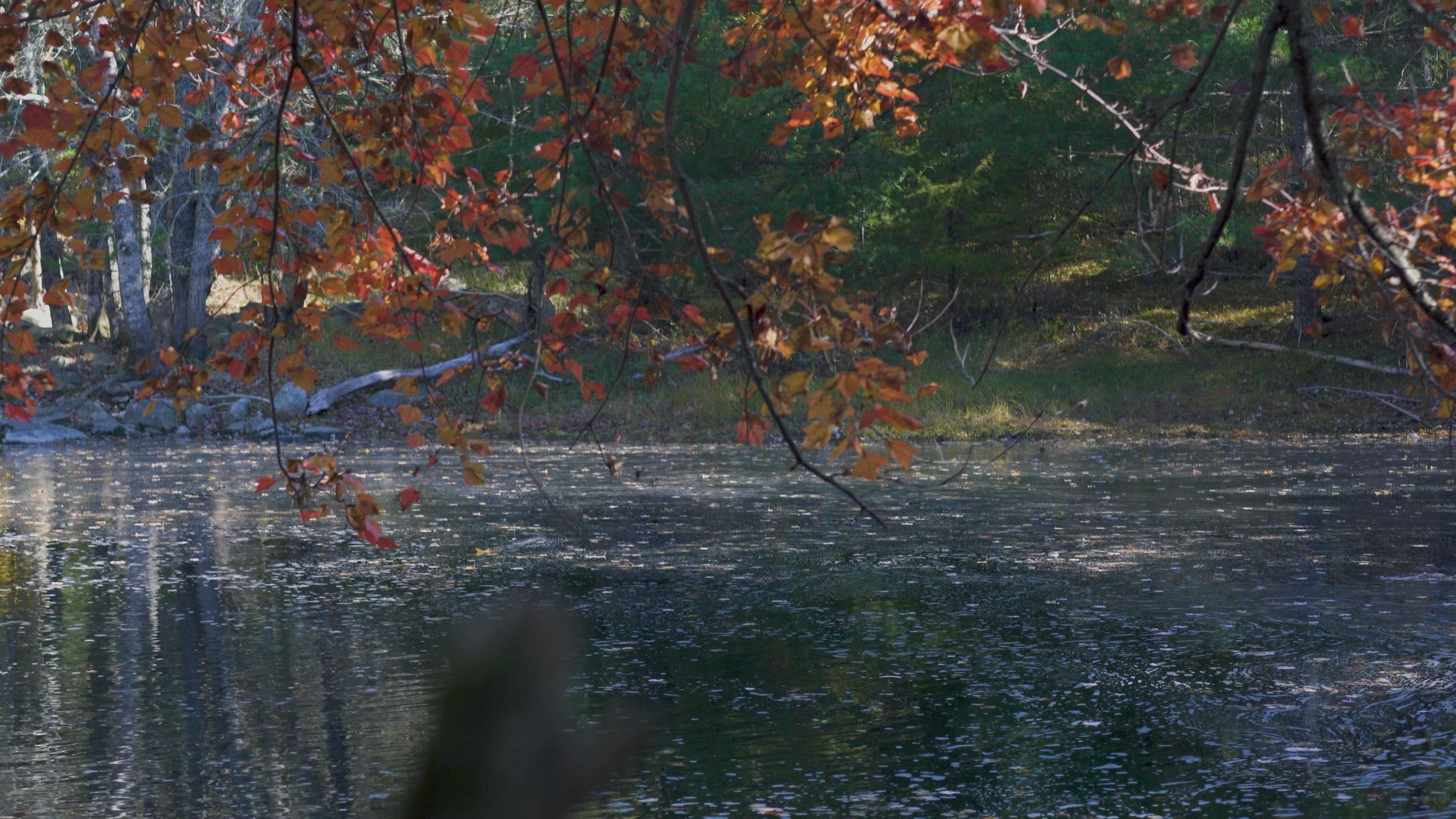 $82,500.00: Lot SS-2 Maple Drive, Lower Ohio