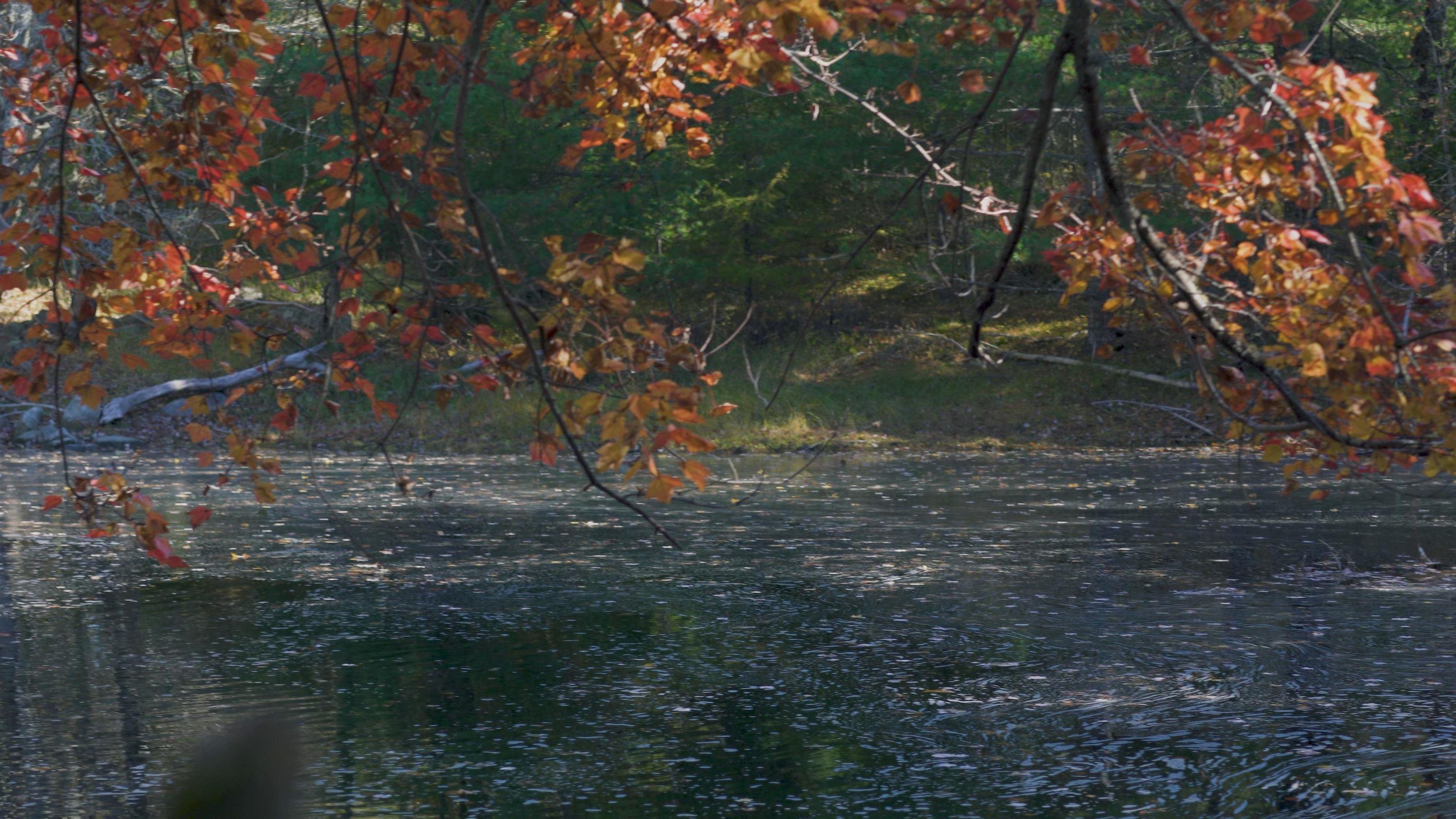 $82,500.00: Lot SS-2 Maple Drive, Lower Ohio