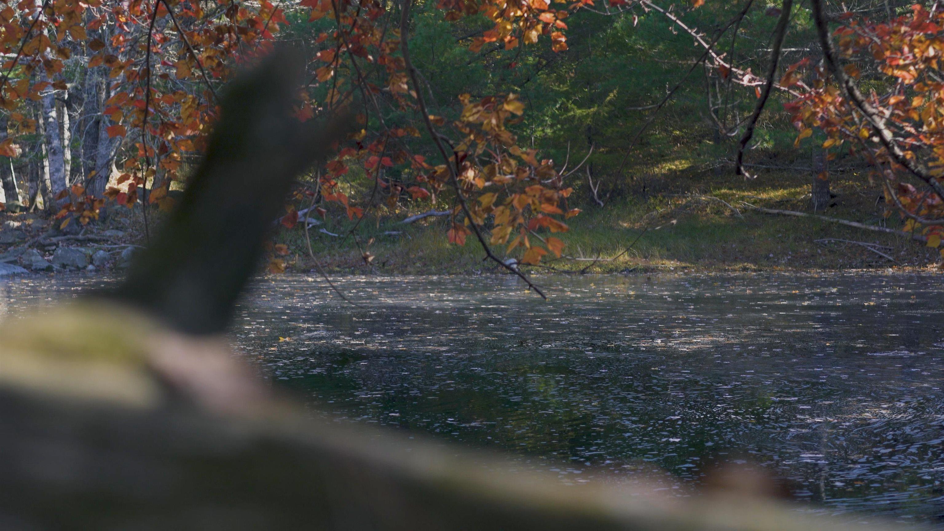 $82,500.00: Lot SS-2 Maple Drive, Lower Ohio