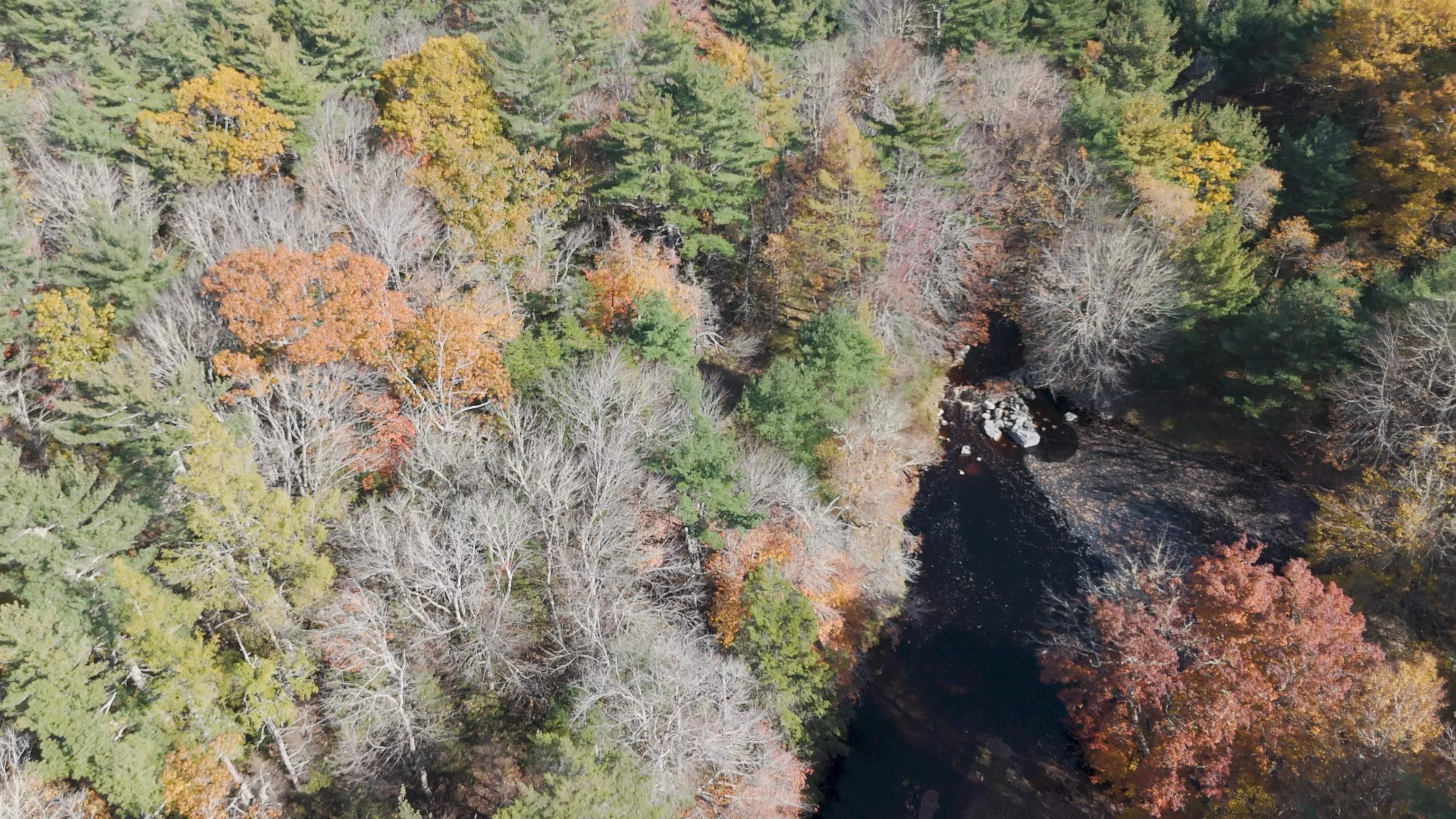 $82,500.00: Lot SS-2 Maple Drive, Lower Ohio