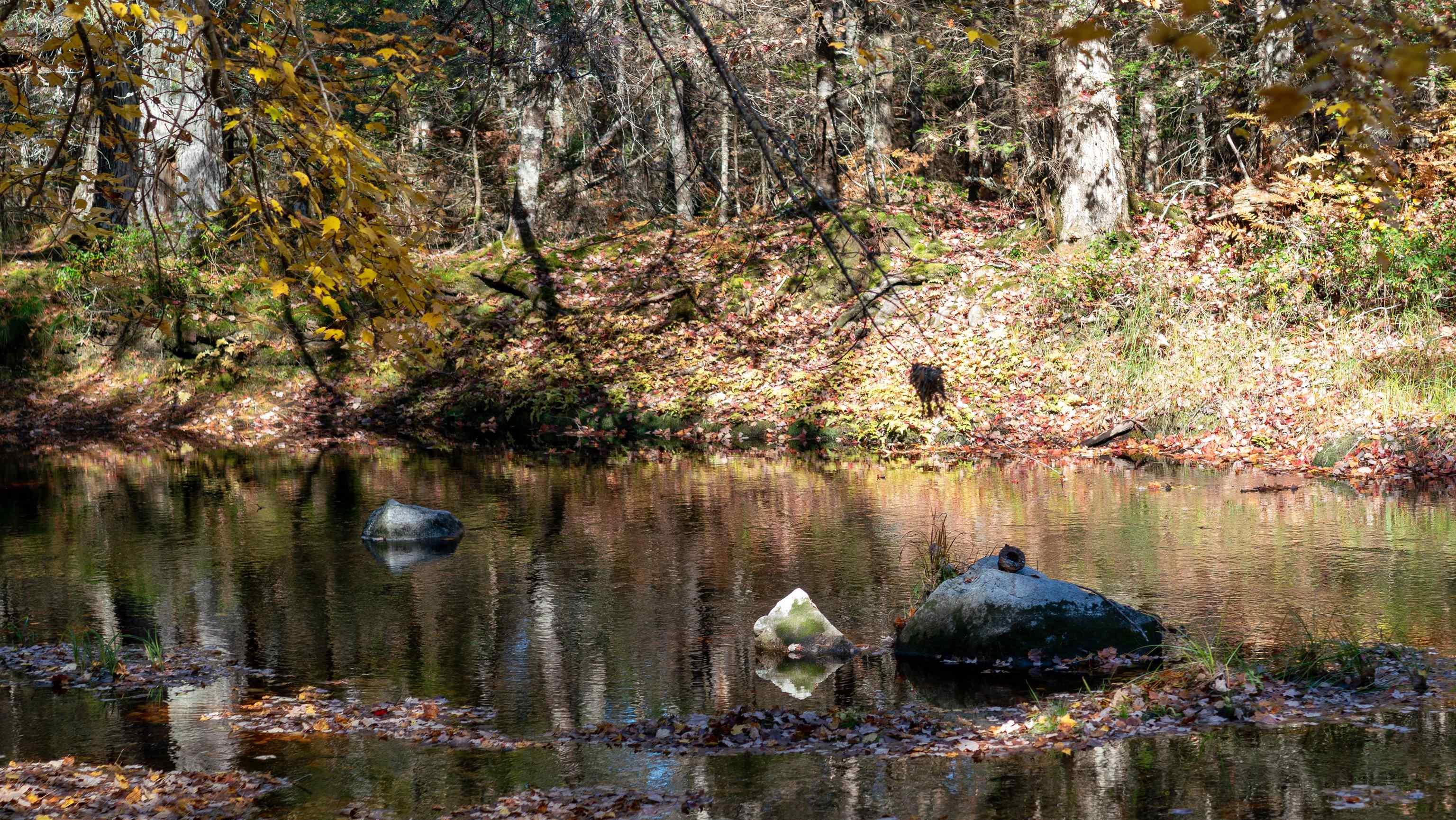 $84,500.00: Lot 3 Maple Drive, Lower Ohio