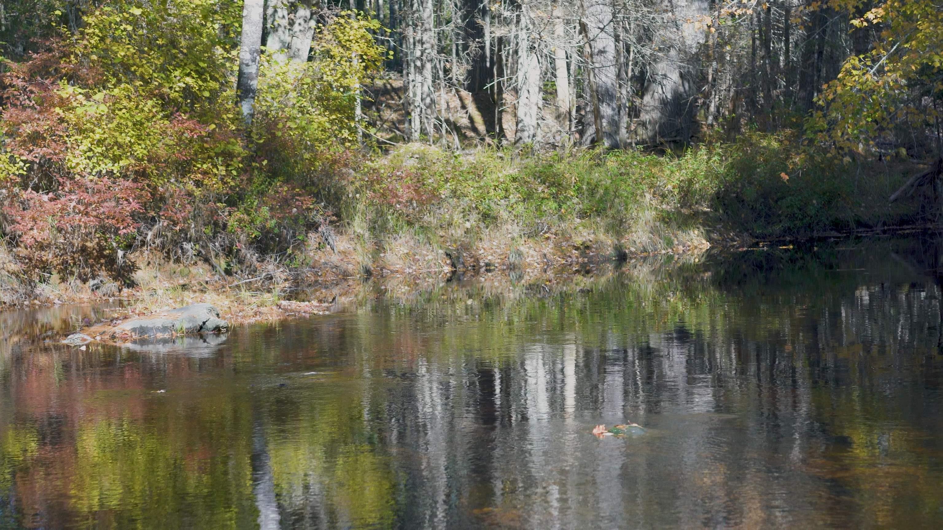 $84,500.00: Lot 3 Maple Drive, Lower Ohio