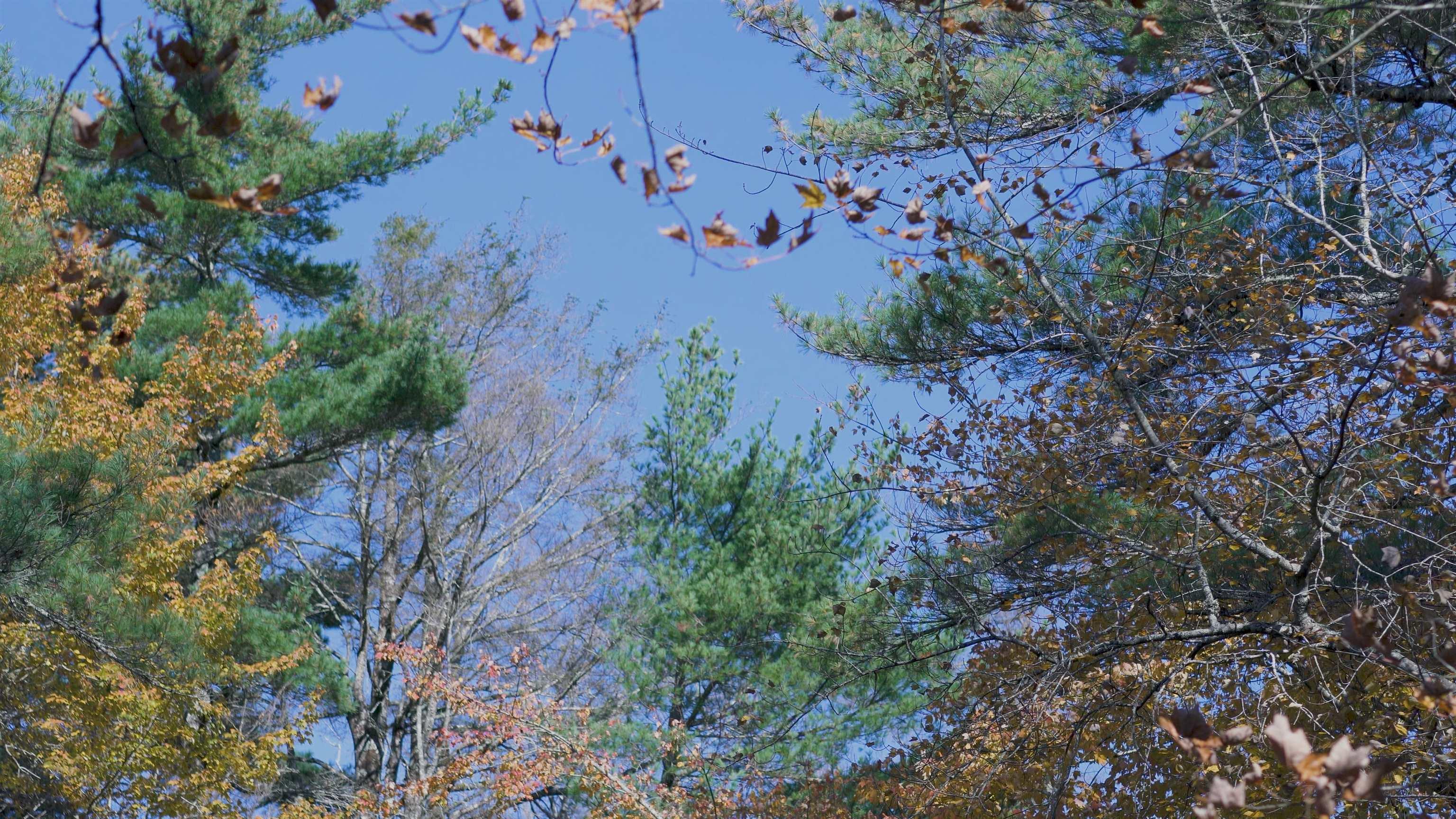 $84,500.00: Lot 3 Maple Drive, Lower Ohio