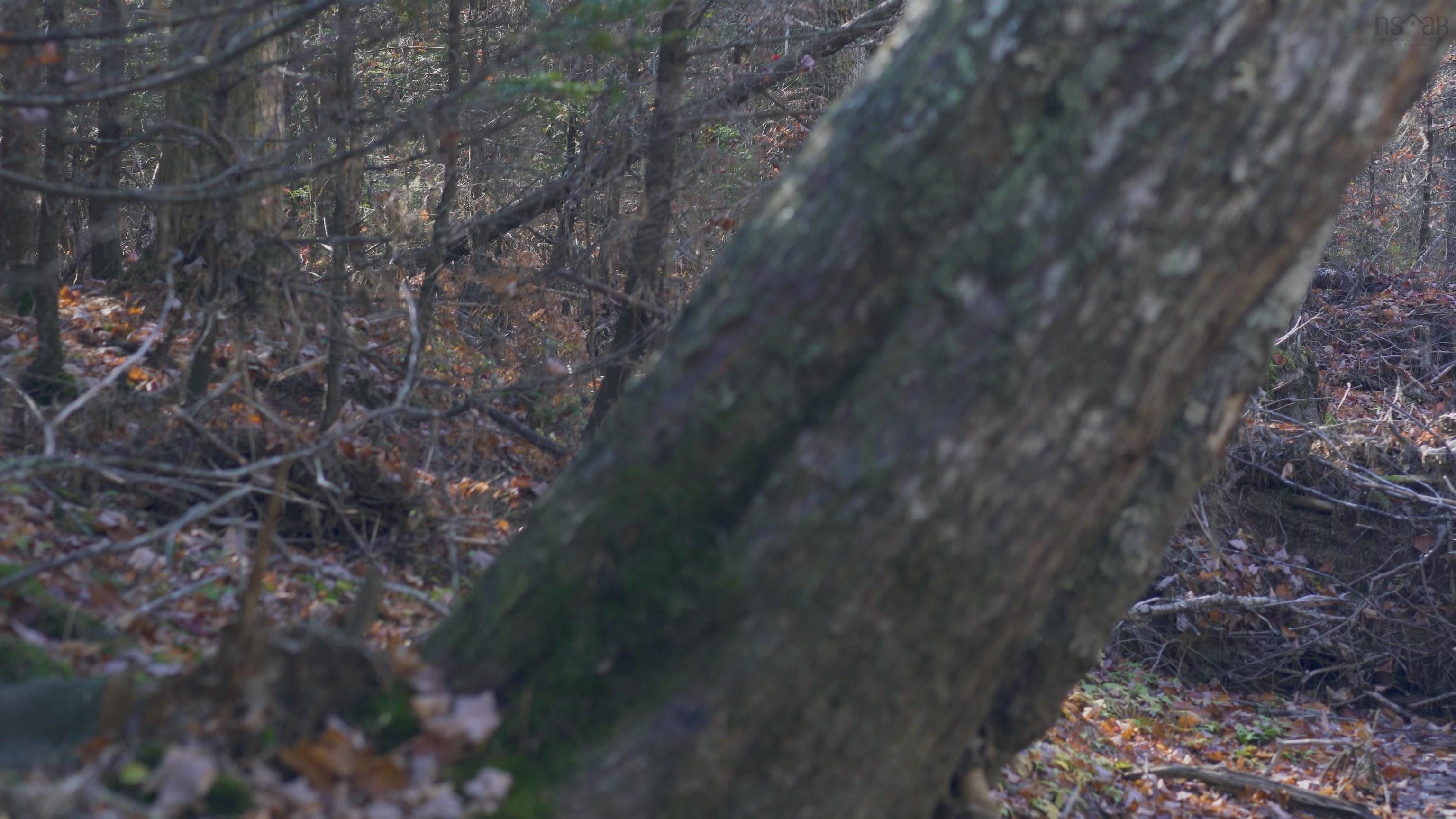 $84,500.00: Lot 3 Maple Drive, Lower Ohio