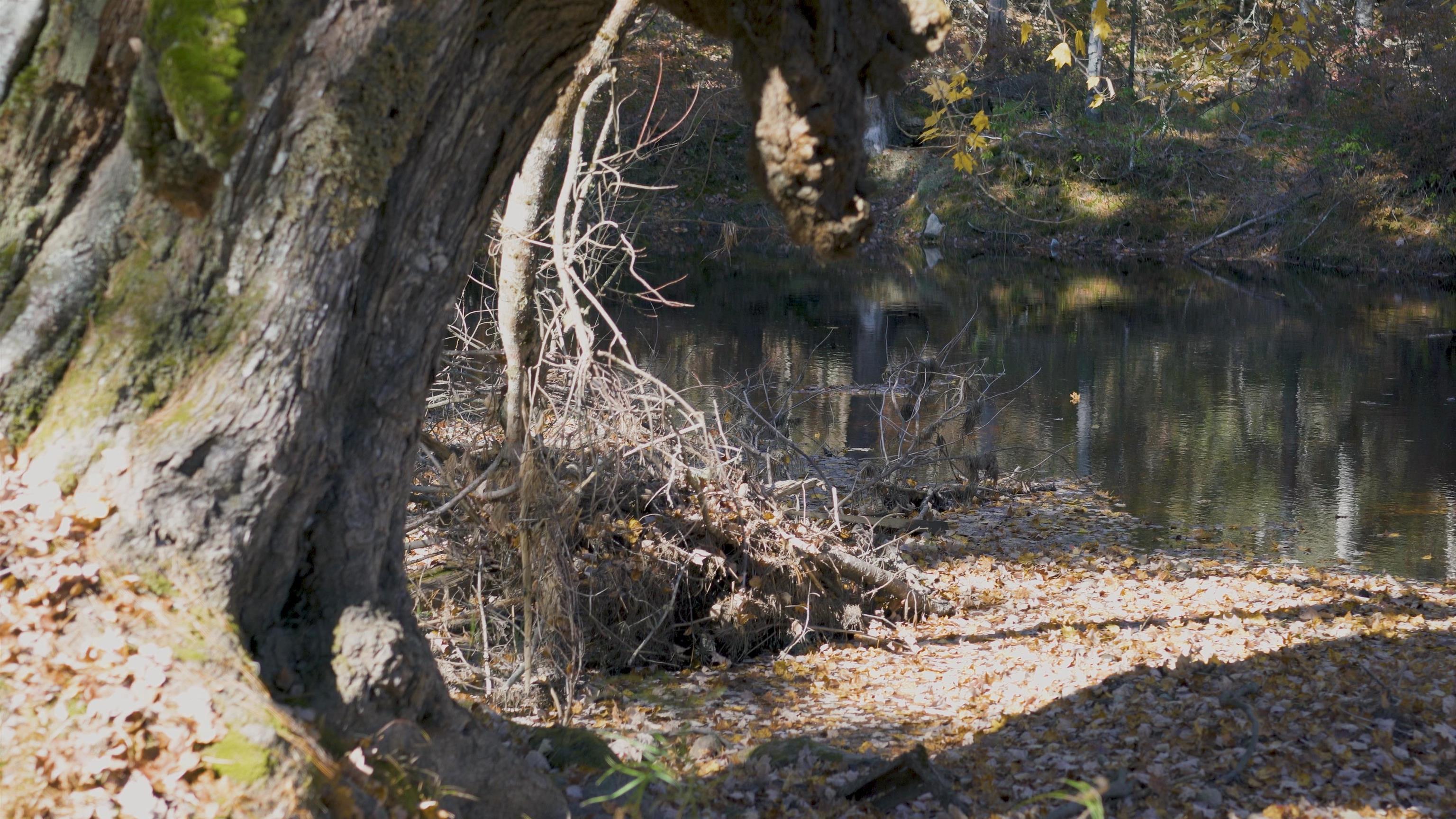 $84,500.00: Lot 3 Maple Drive, Lower Ohio