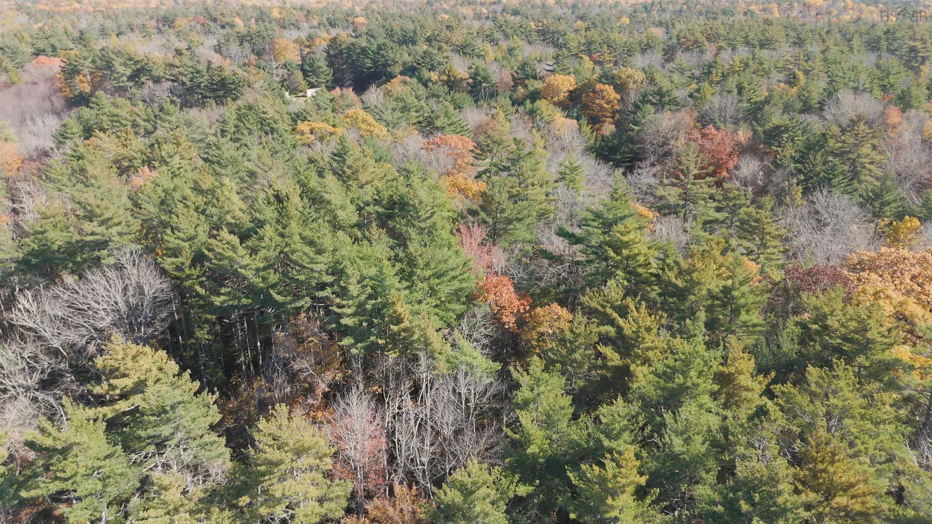 $84,500.00: Lot 3 Maple Drive, Lower Ohio