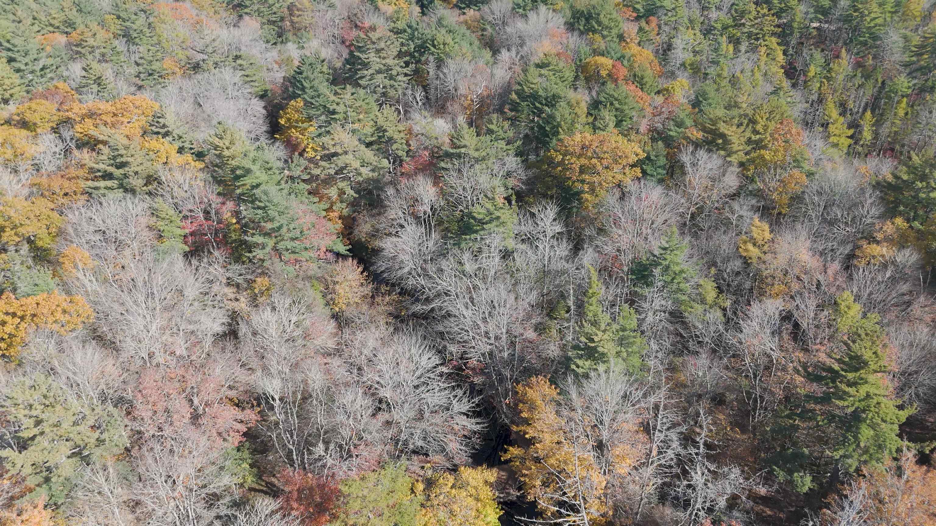 $84,500.00: Lot 3 Maple Drive, Lower Ohio