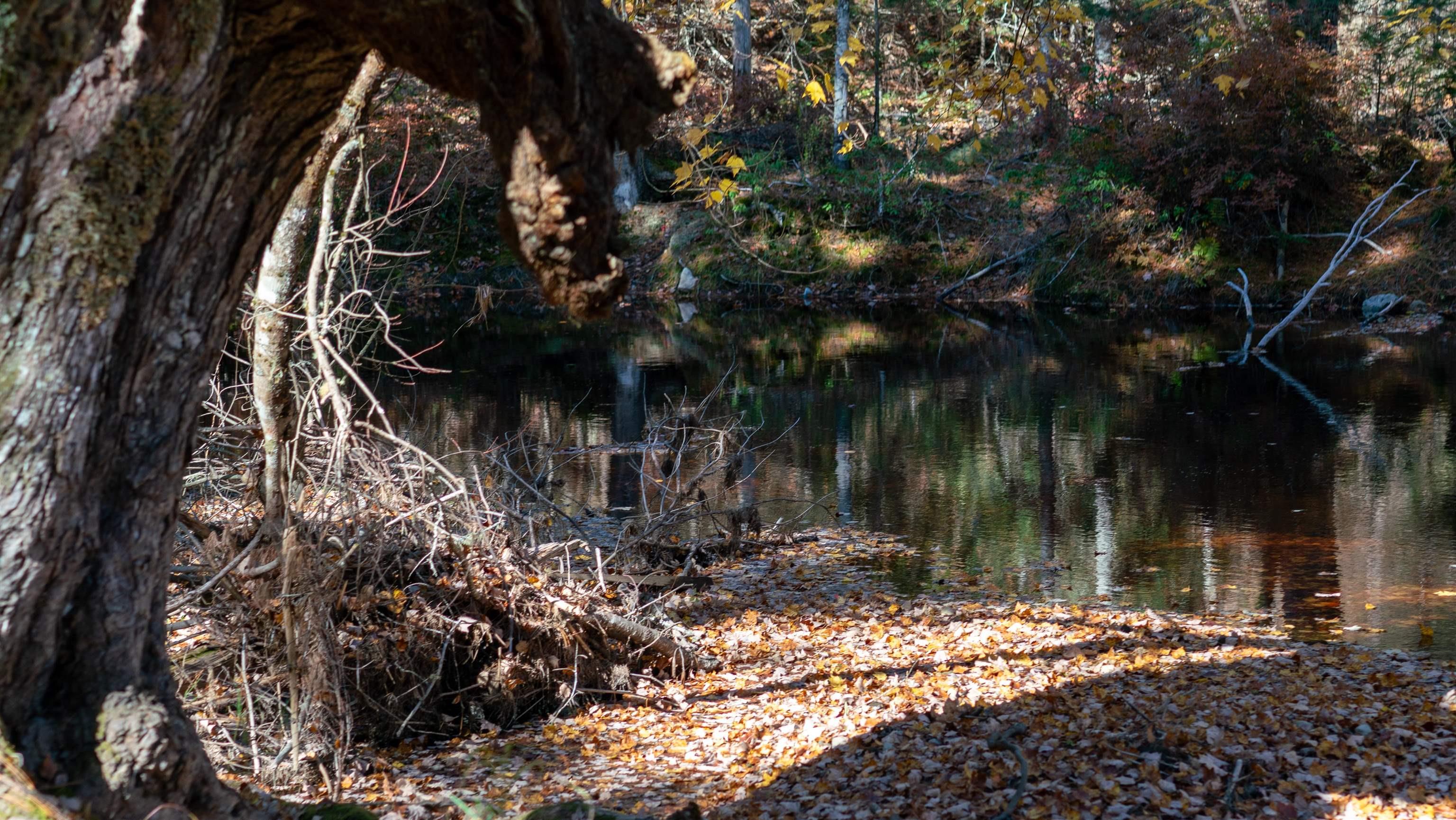 $84,500.00: Lot 3 Maple Drive, Lower Ohio