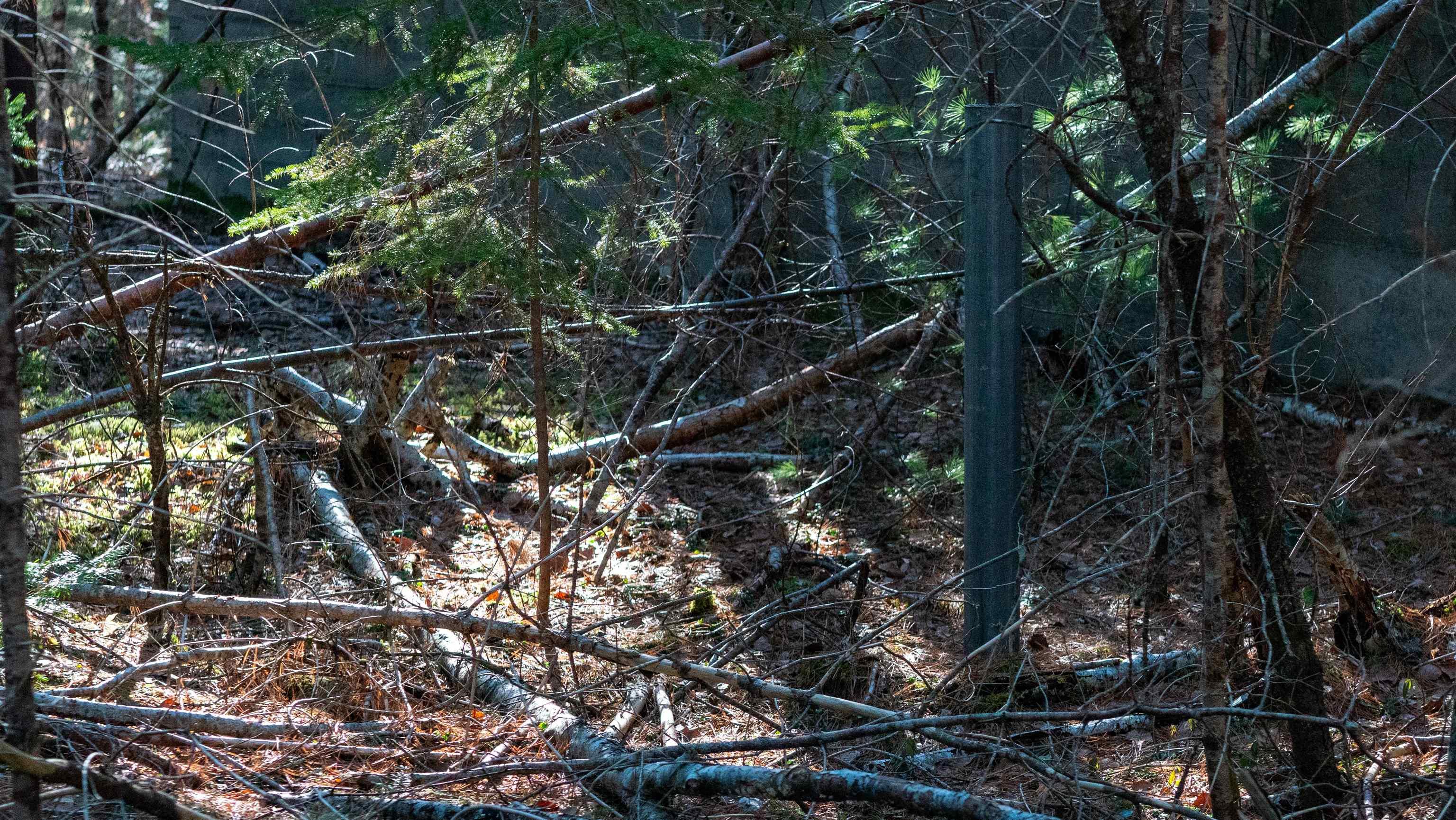 $84,500.00: Lot 3 Maple Drive, Lower Ohio