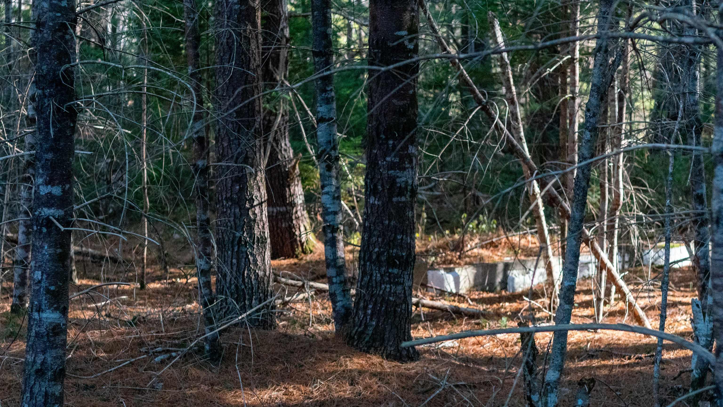 $84,500.00: Lot 3 Maple Drive, Lower Ohio