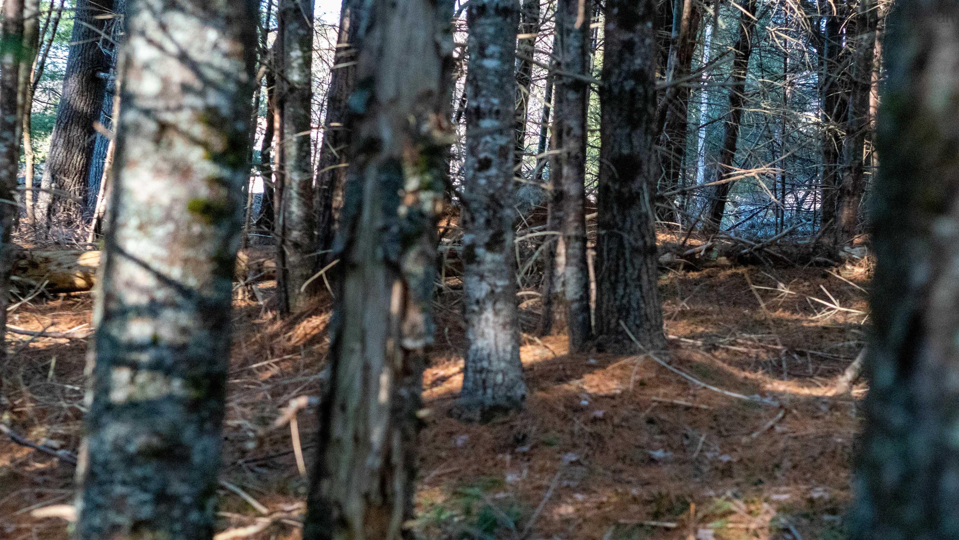 $84,500.00: Lot 3 Maple Drive, Lower Ohio