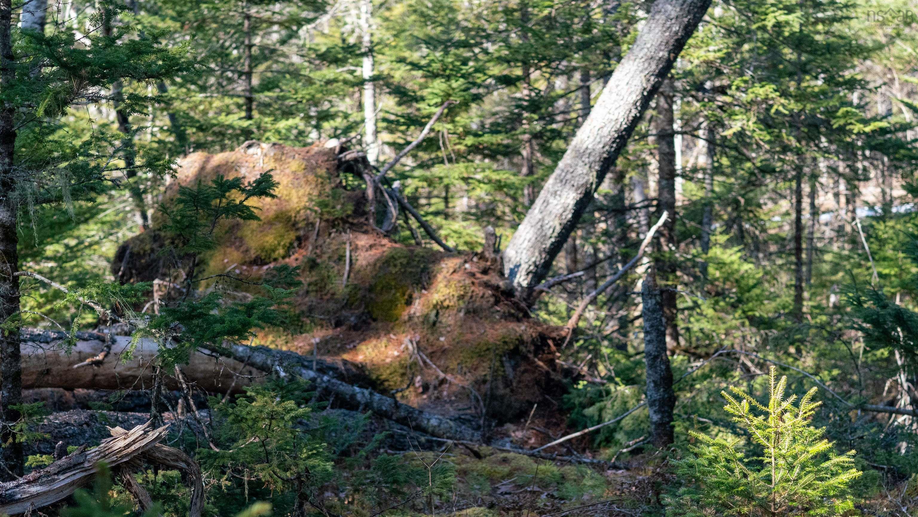 $46,500.00: Lot 13 Maple Drive, Lower Ohio