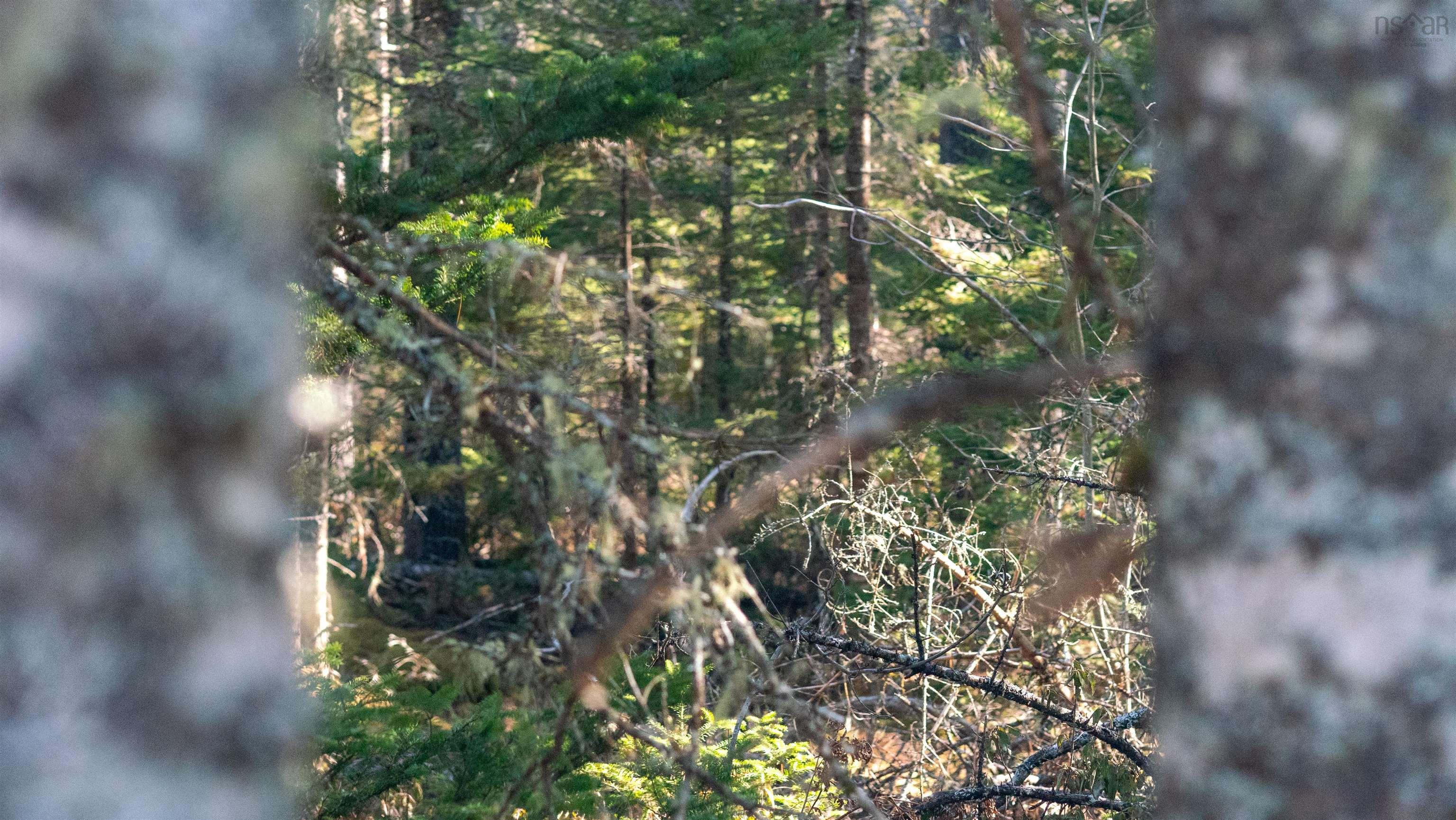 $46,500.00: Lot 13 Maple Drive, Lower Ohio