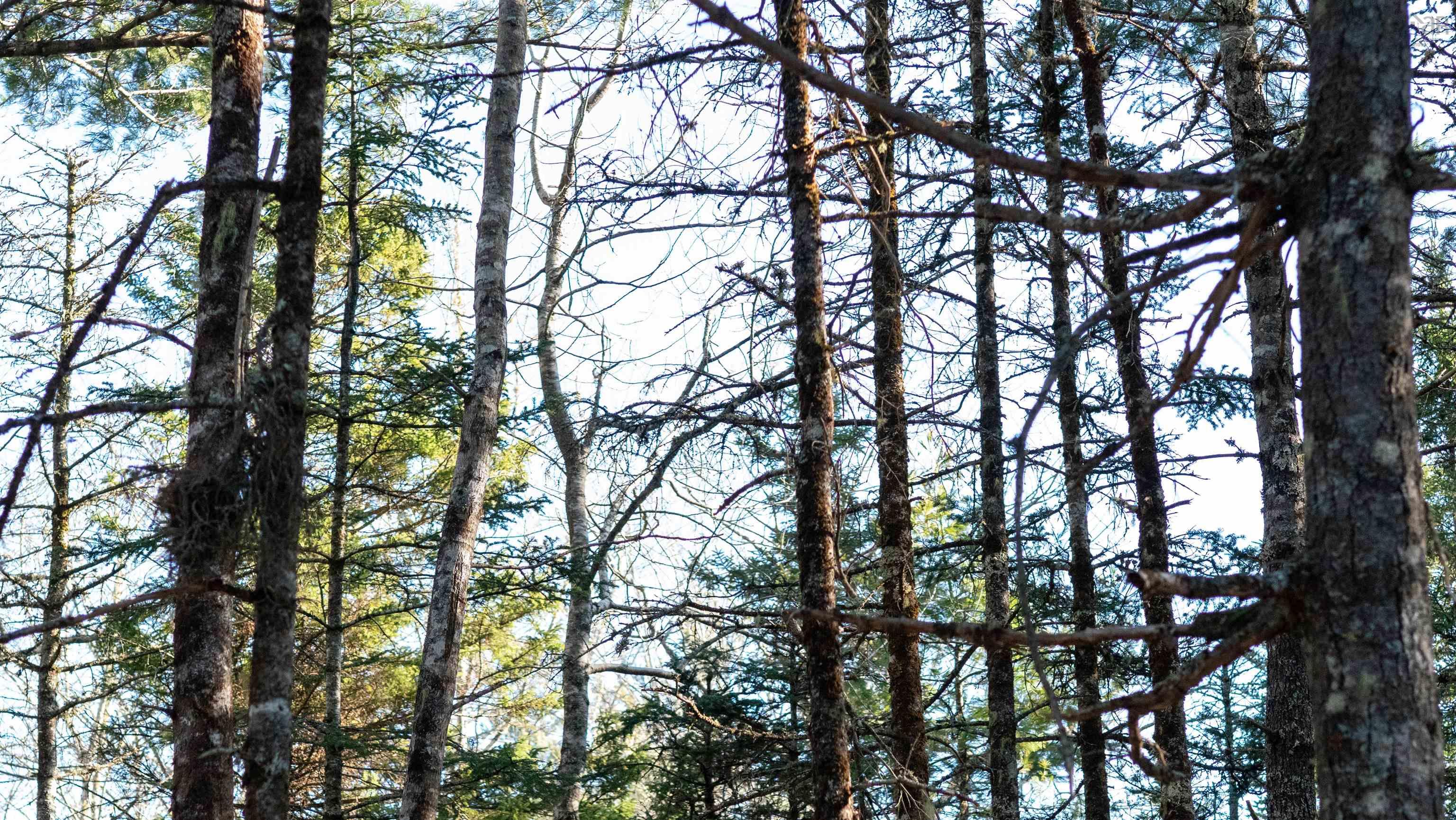 $46,500.00: Lot 13 Maple Drive, Lower Ohio