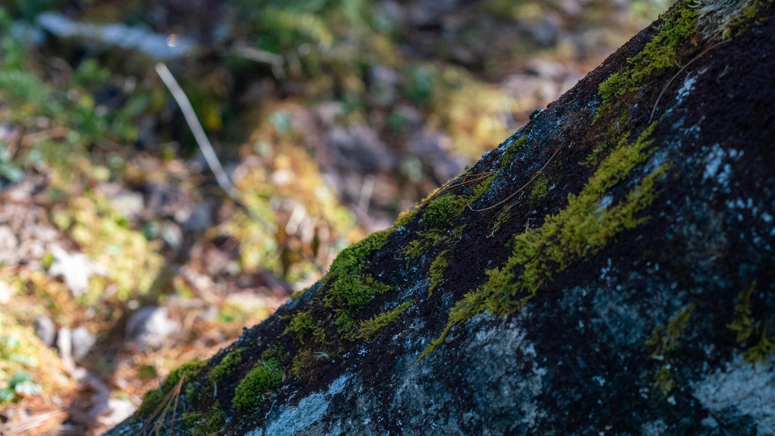 $46,500.00: Lot 13 Maple Drive, Lower Ohio