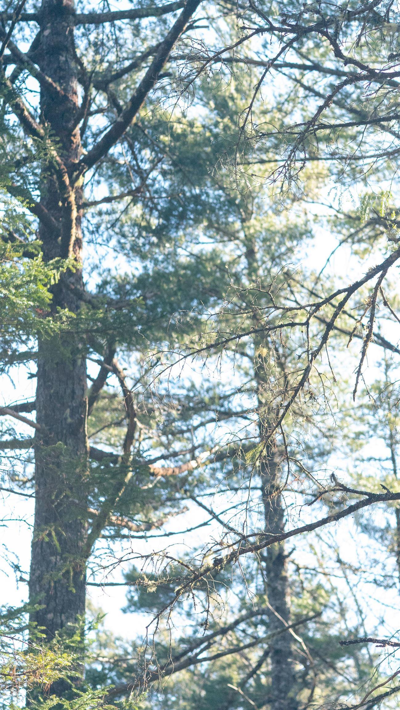 $46,500.00: Lot 13 Maple Drive, Lower Ohio