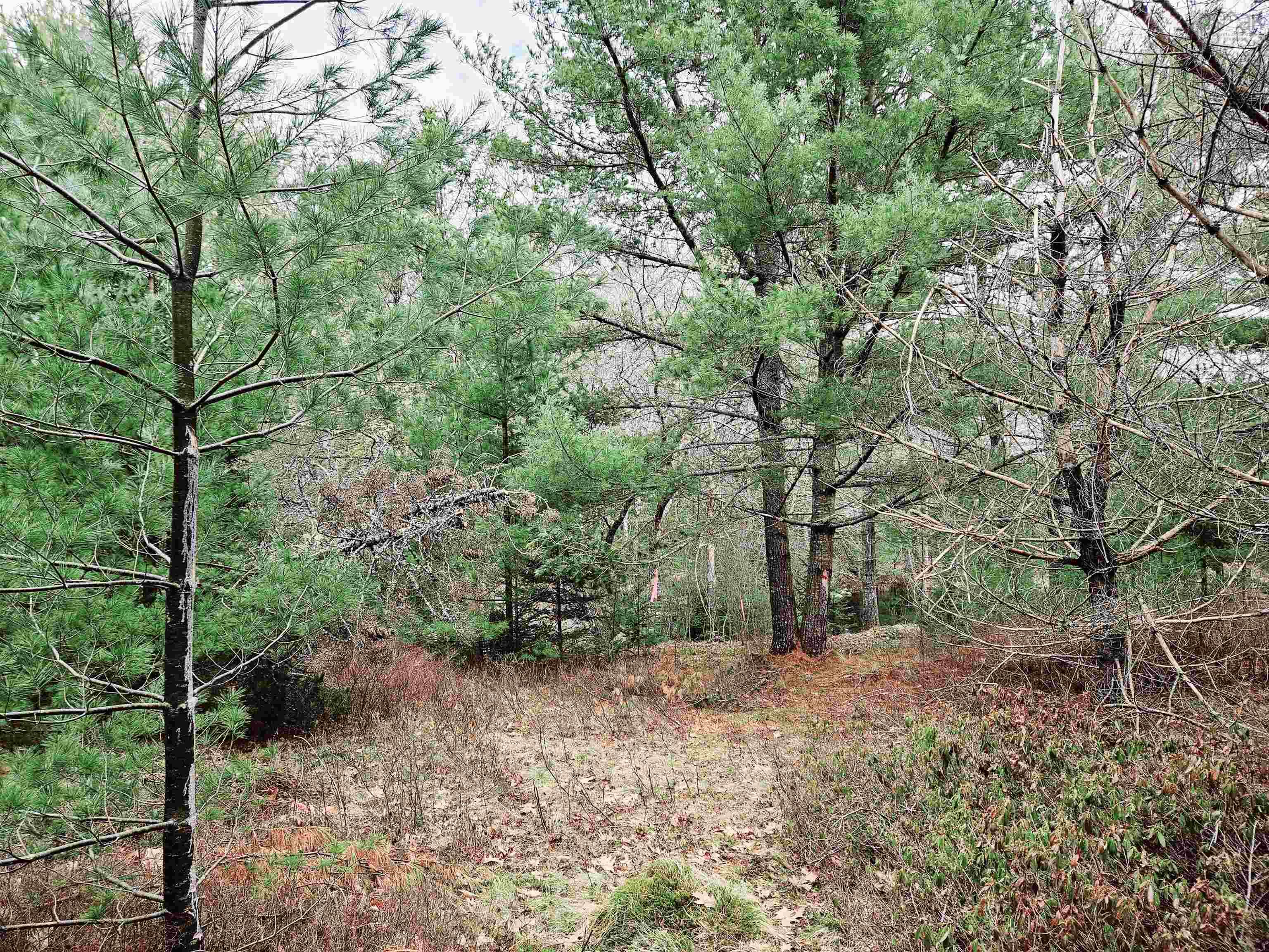 $46,500.00: Lot 13 Maple Drive, Lower Ohio