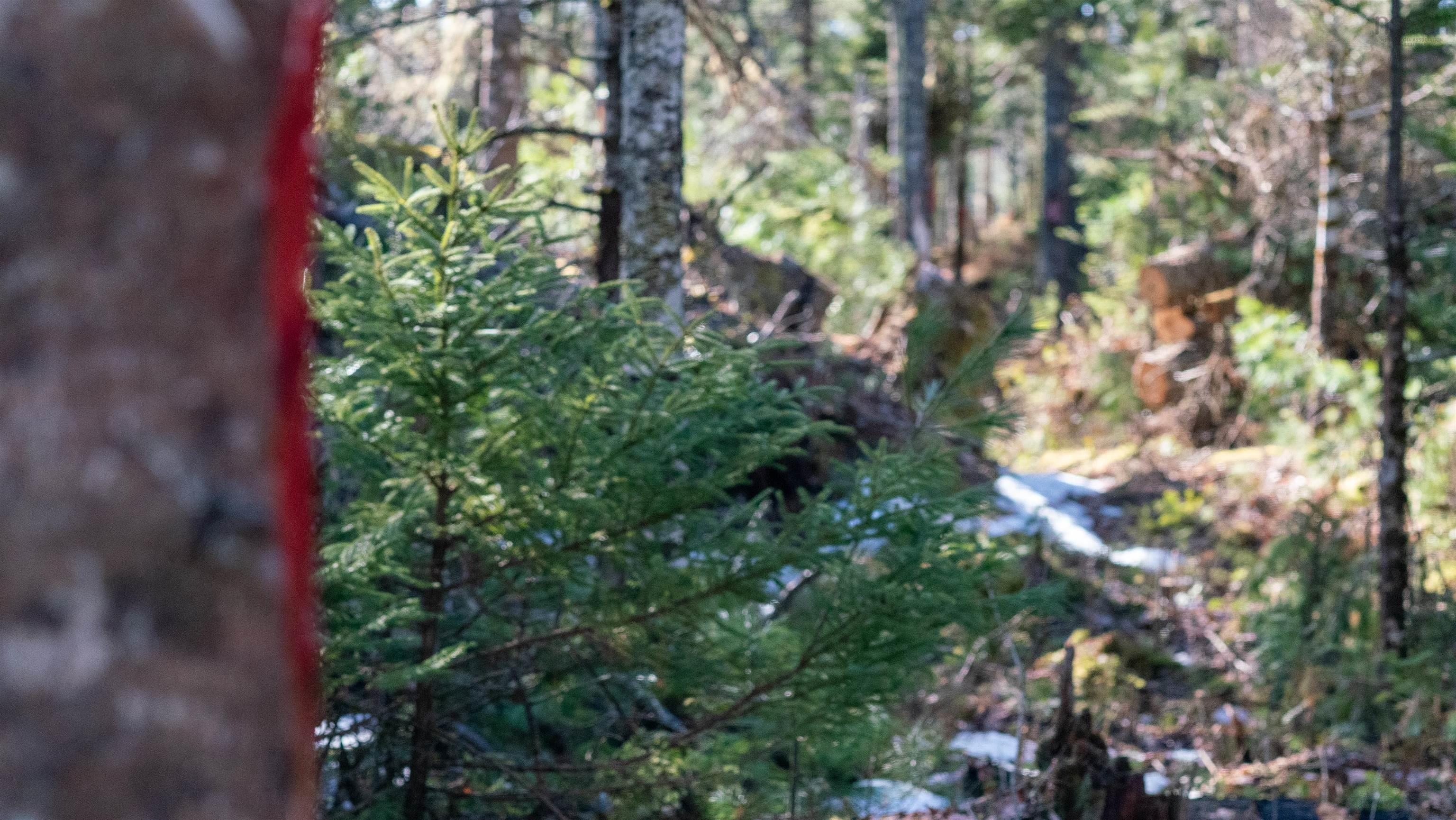 $46,500.00: Lot 14 Maple Drive, Lower Ohio