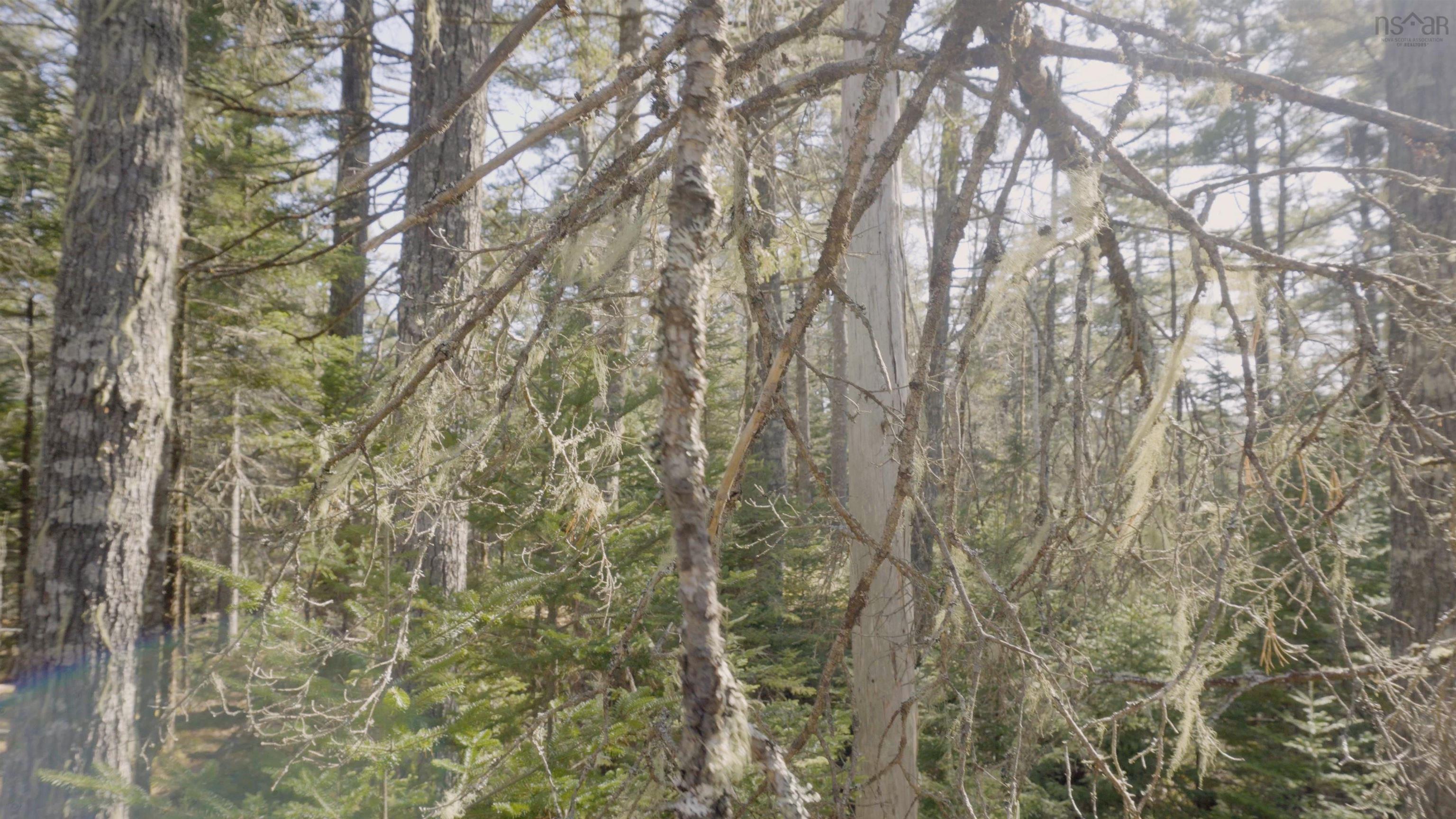 $46,500.00: Lot 14 Maple Drive, Lower Ohio