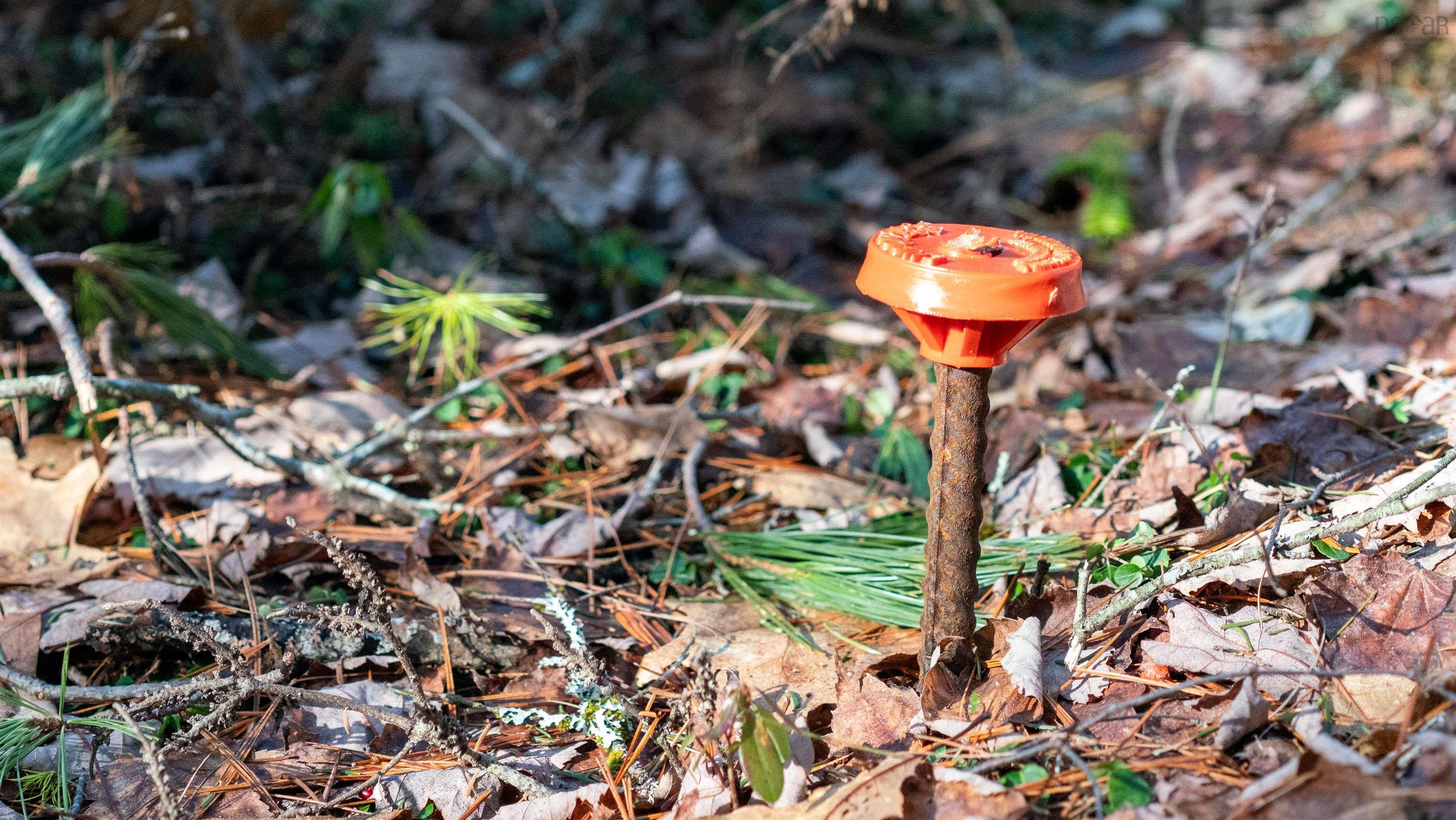 $46,500.00: Lot 14 Maple Drive, Lower Ohio