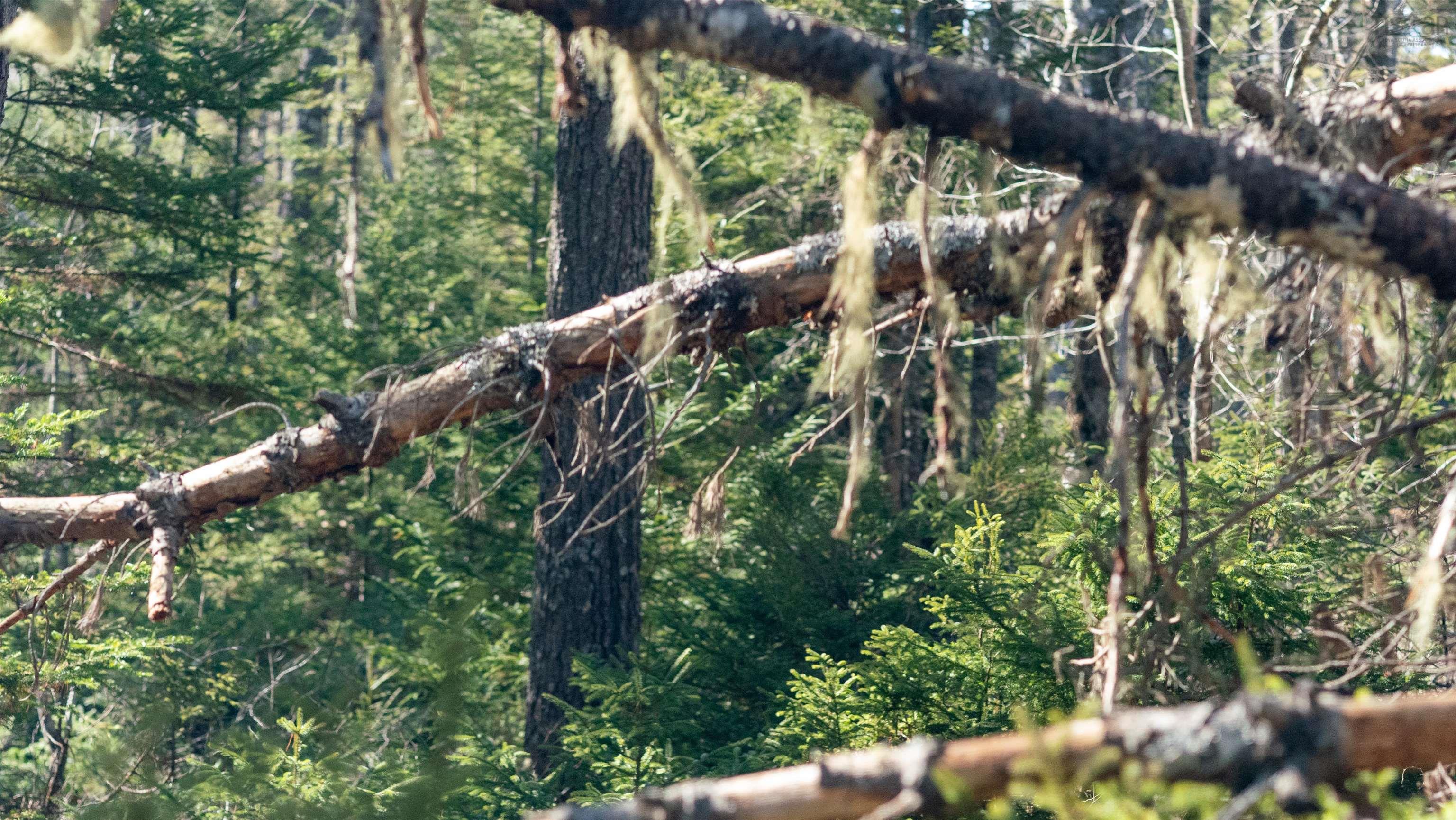 $46,500.00: Lot 14 Maple Drive, Lower Ohio