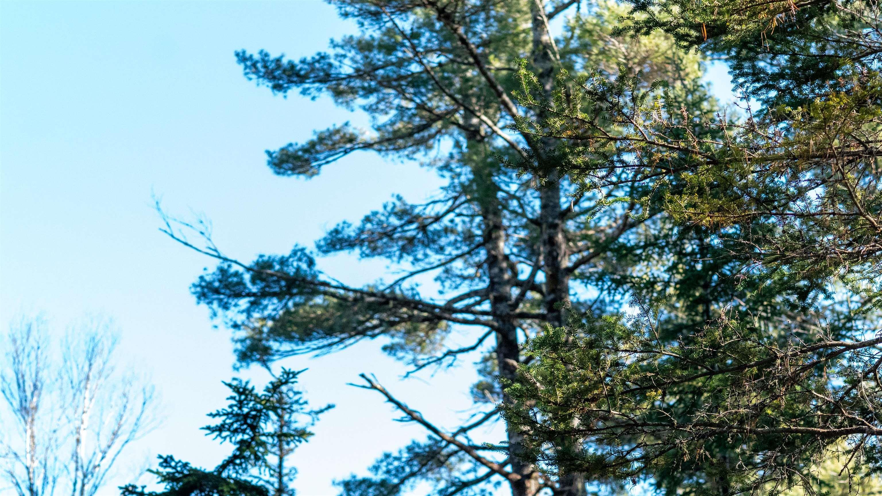 $46,500.00: Lot 14 Maple Drive, Lower Ohio