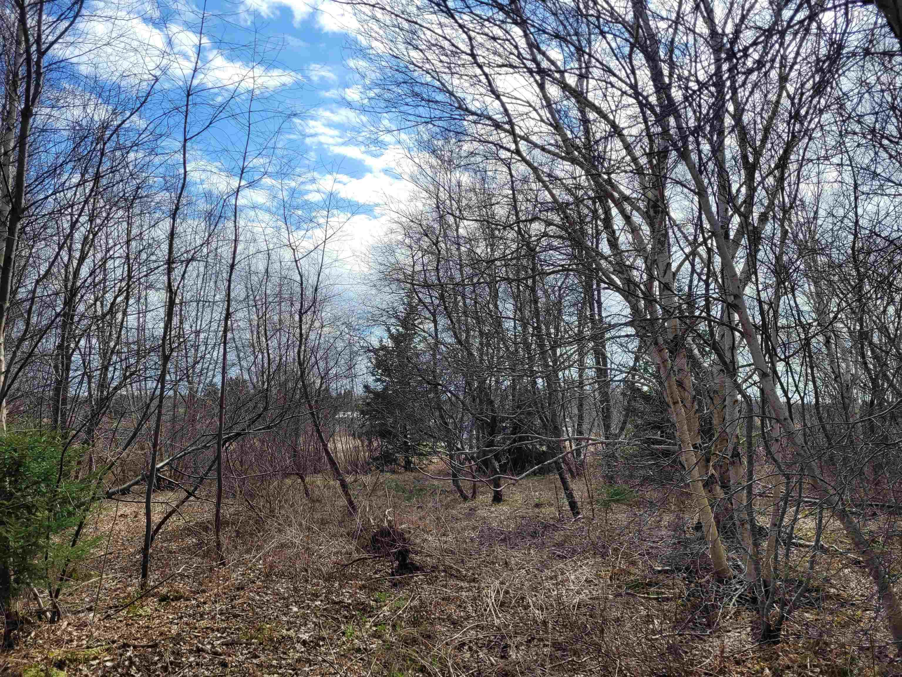 $69,900.00: Wharf Road, Noel