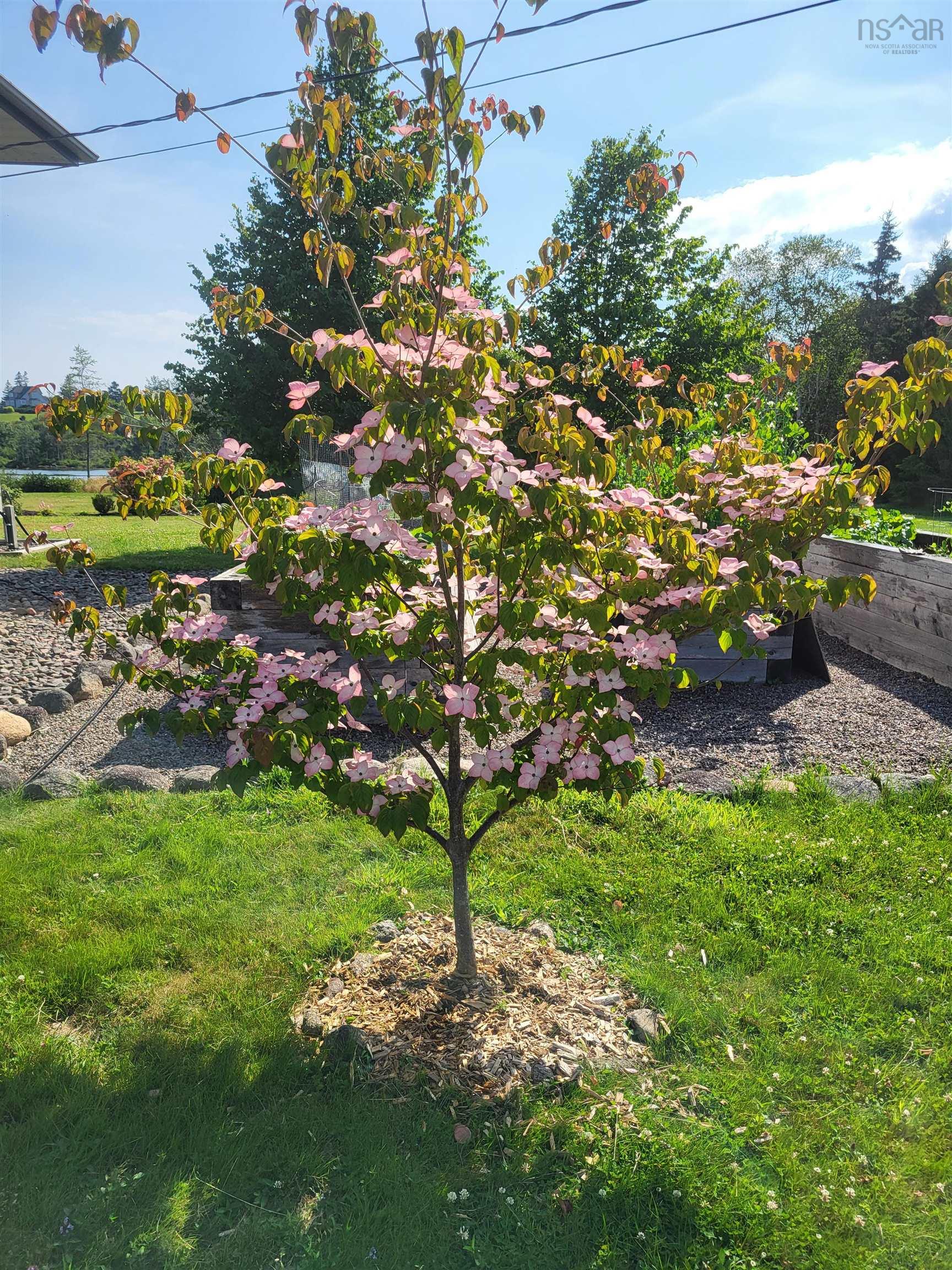 $775,000.00: 78 Fort Point Road, Lahave