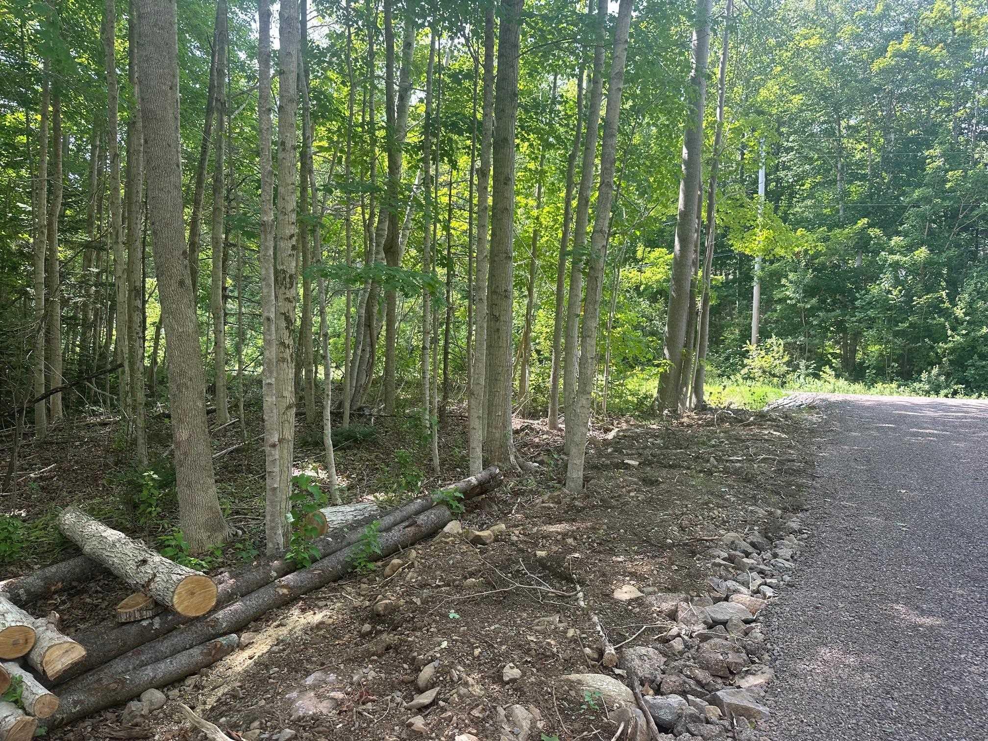 $38,900.00: Lot 2 Highway 362, Victoria Vale