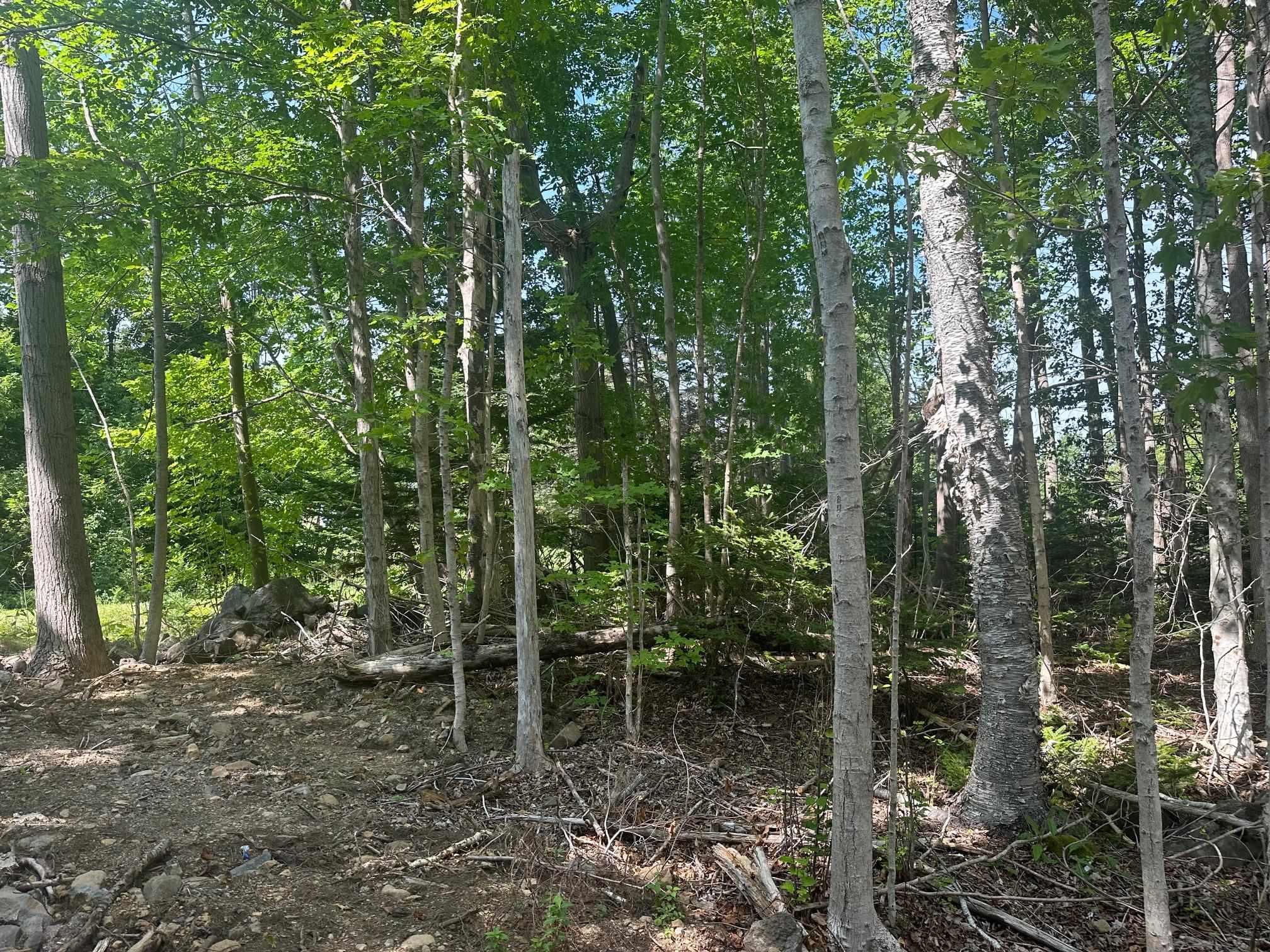 $38,900.00: Lot 2 Highway 362, Victoria Vale