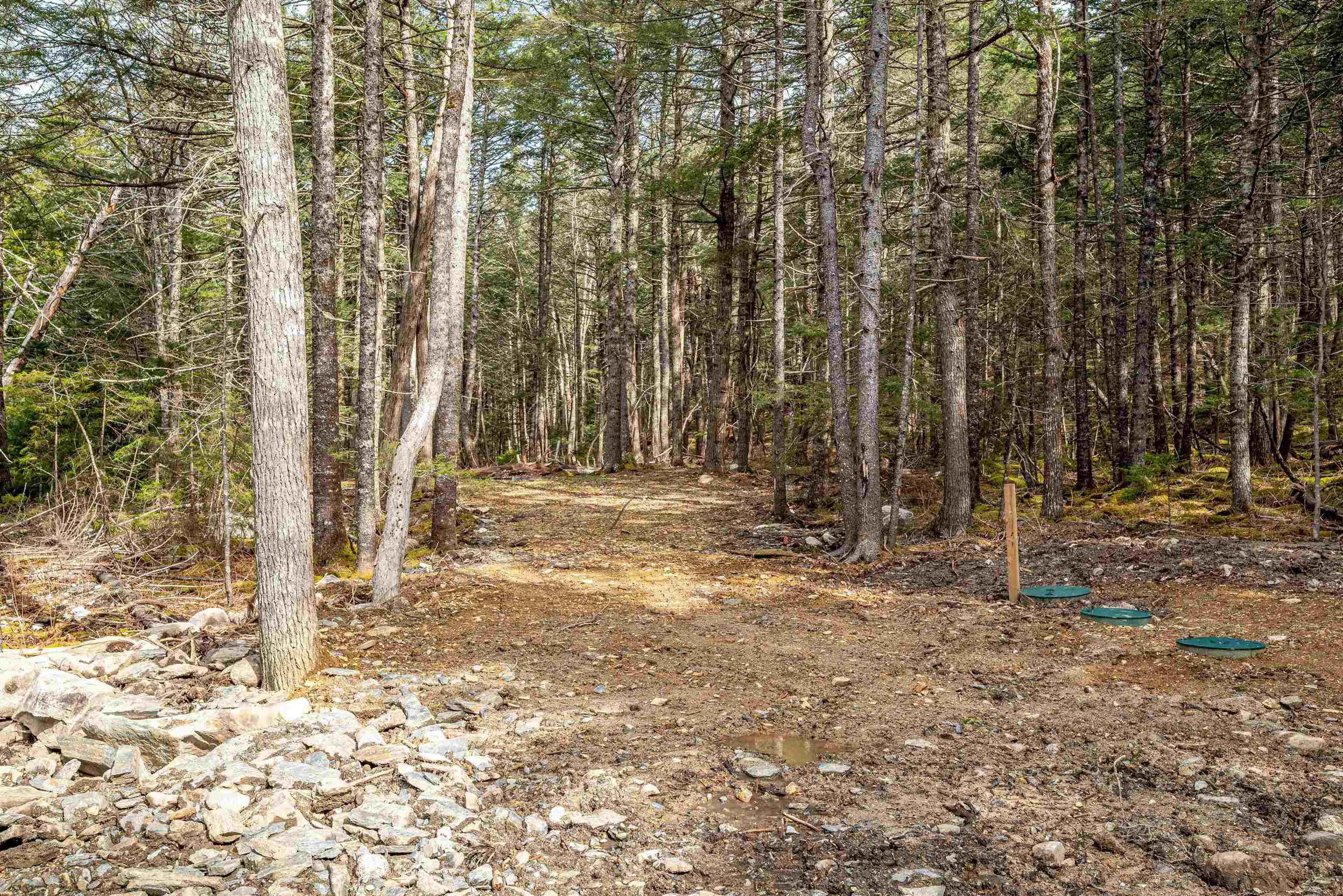 167 Annis Beach Road, Molega, NS (MLS 202508946)