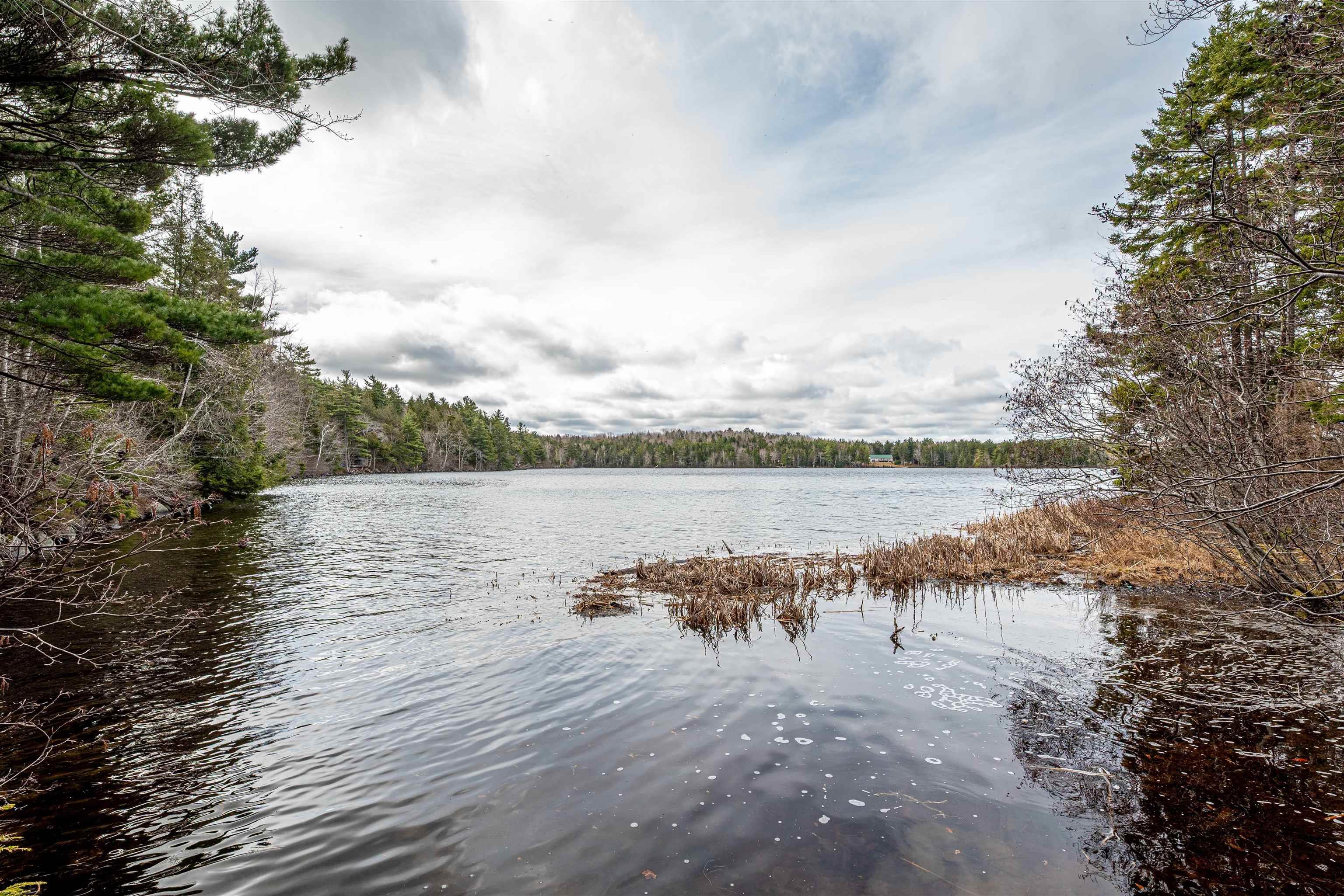 167 Annis Beach Road, Molega, NS (MLS 202508946)