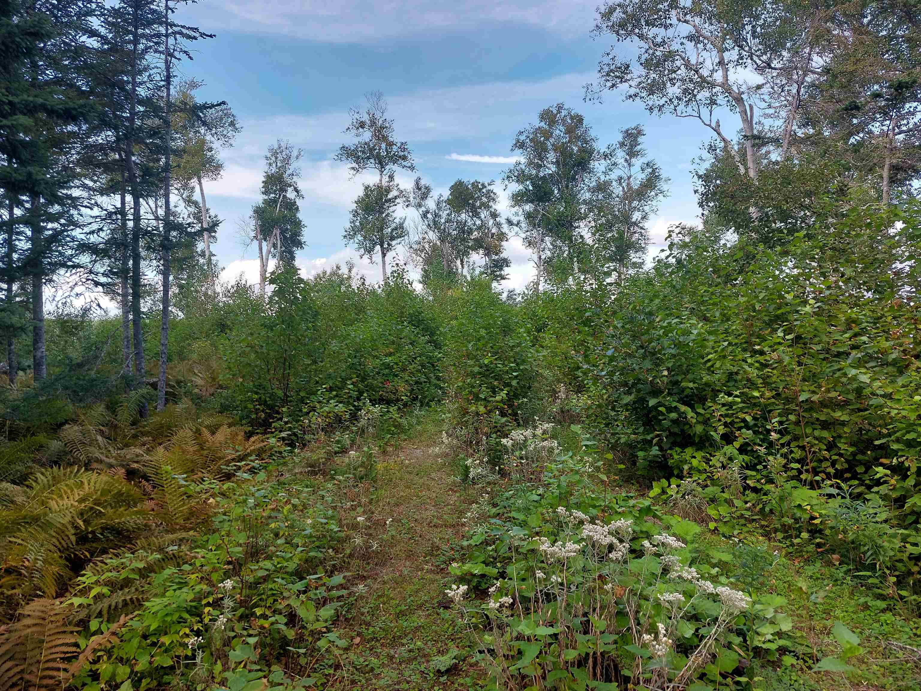 $135,000.00: Lot 23 Sky Way, Big Harbour