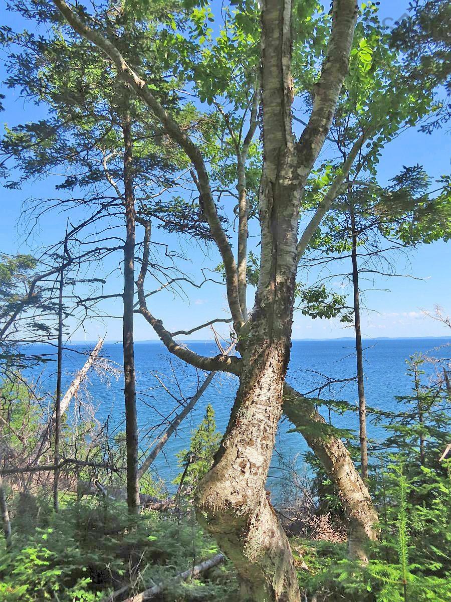 $795,000.00: 195 Acres West Bay Highway, Roberta