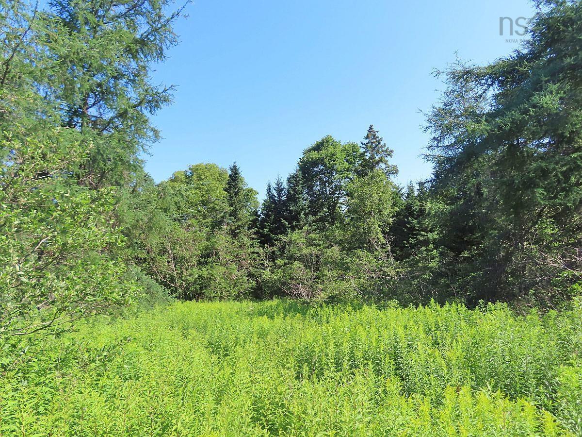 $795,000.00: 195 Acres West Bay Highway, Roberta