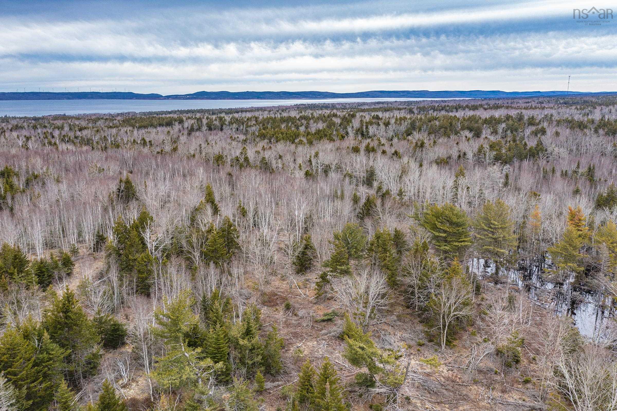 $250,000.00: Highway 101, Plympton