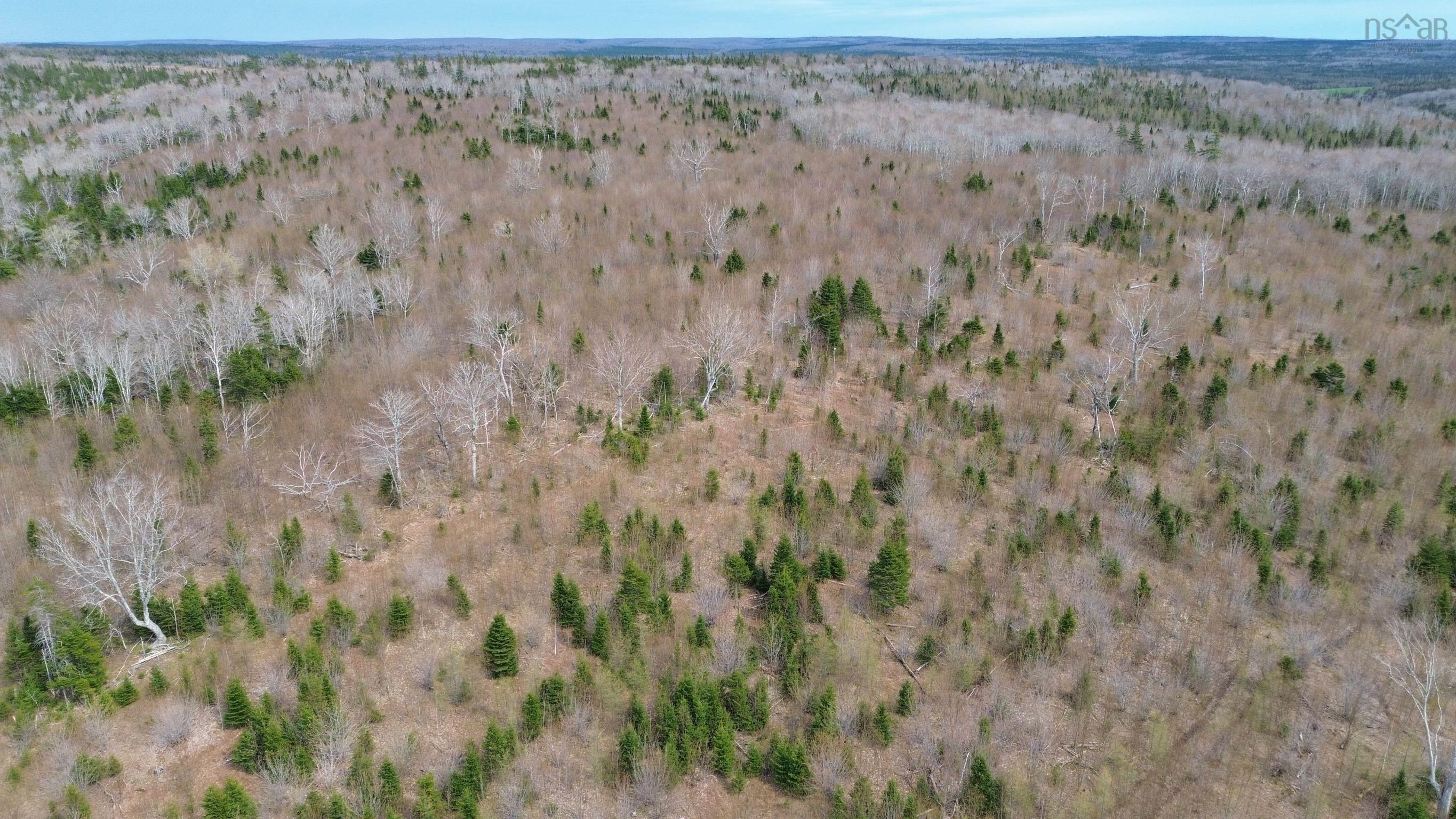 $65,000.00: Acreage Mason Road, Glendale