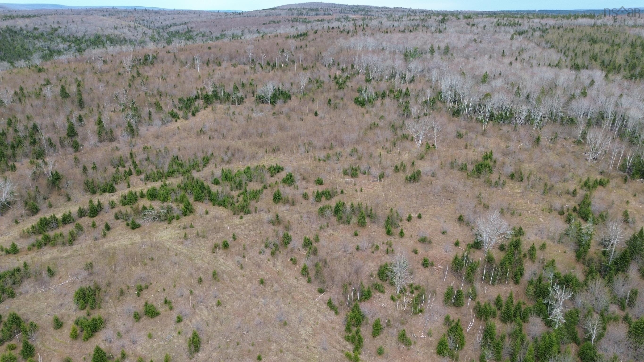 $65,000.00: Acreage Mason Road, Glendale