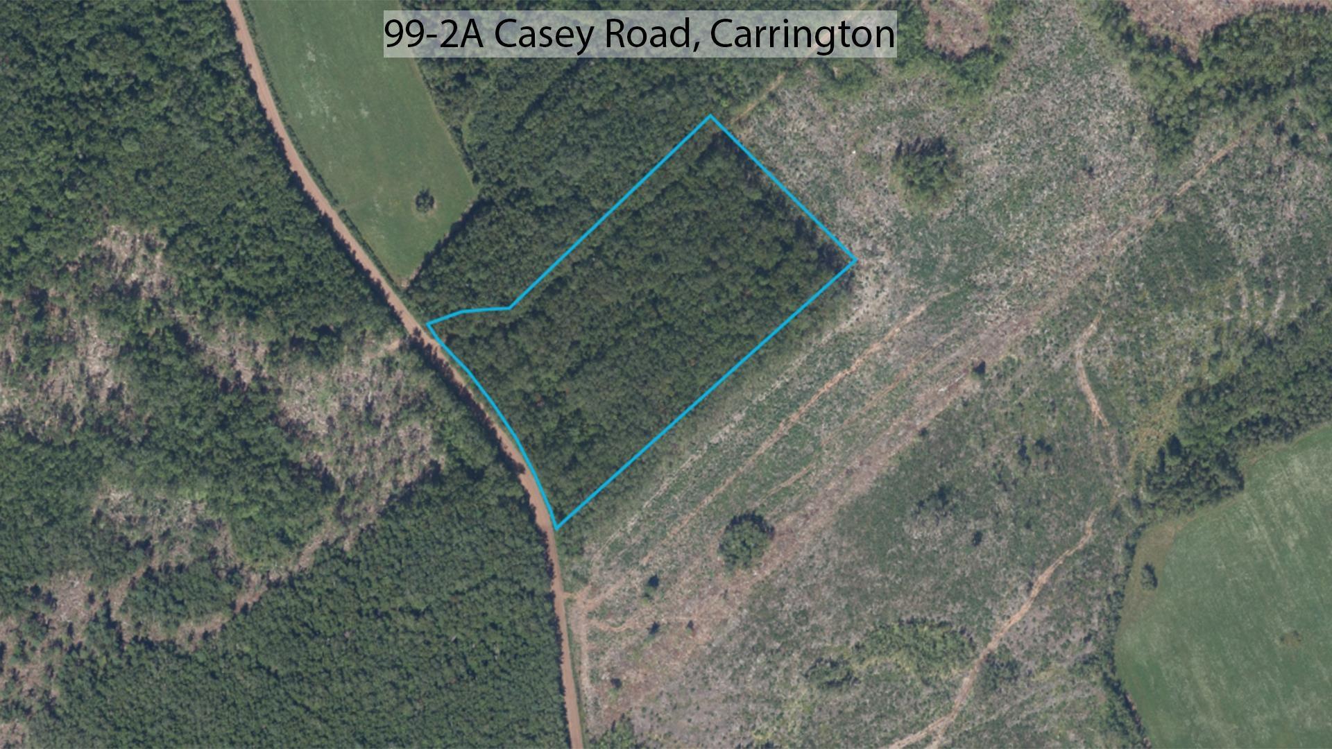 99-2a Casey Road, Carrington, NS (MLS 202509280)