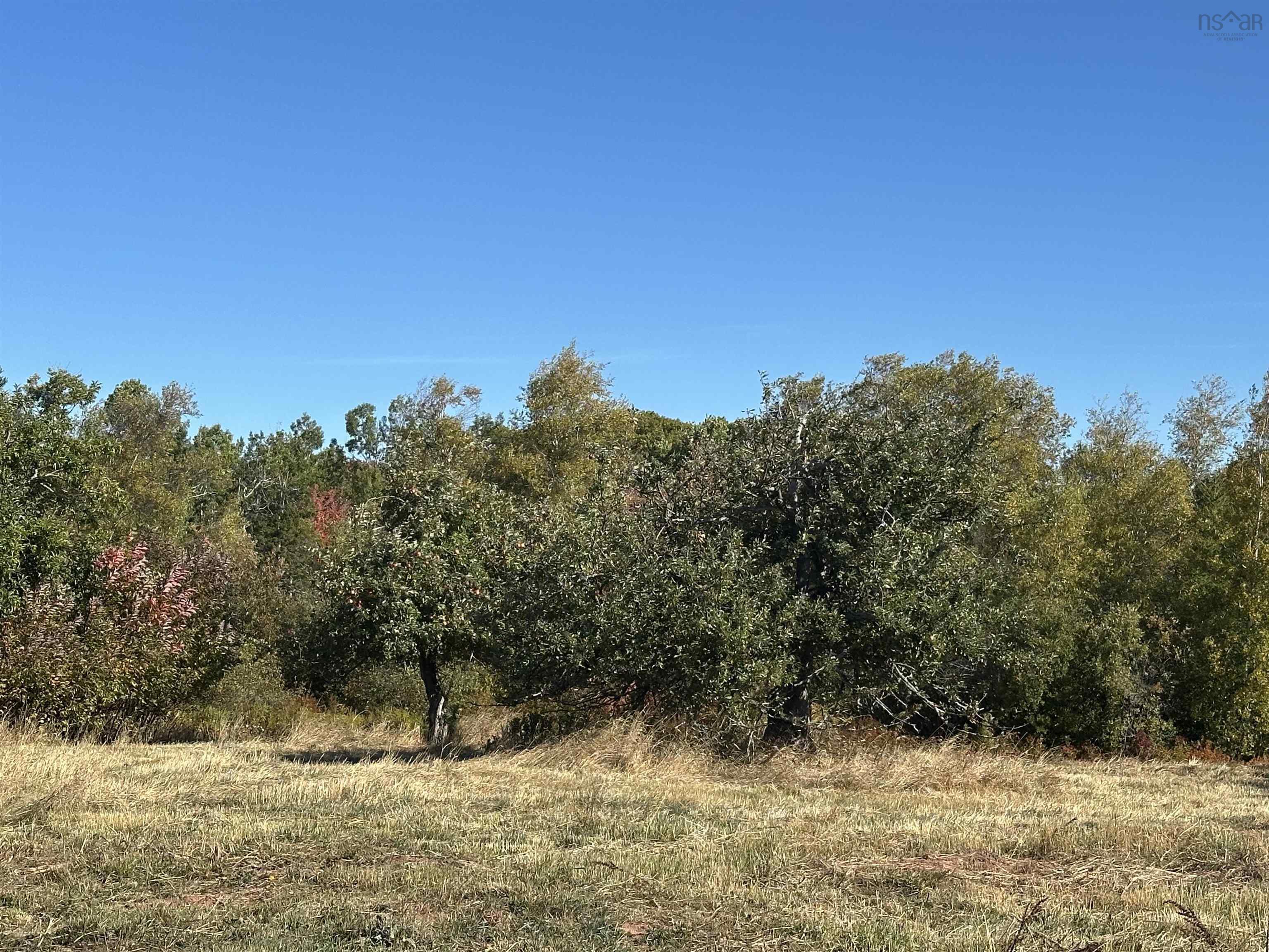 $249,500.00: 3229 Malagash Road, Malagash Centre