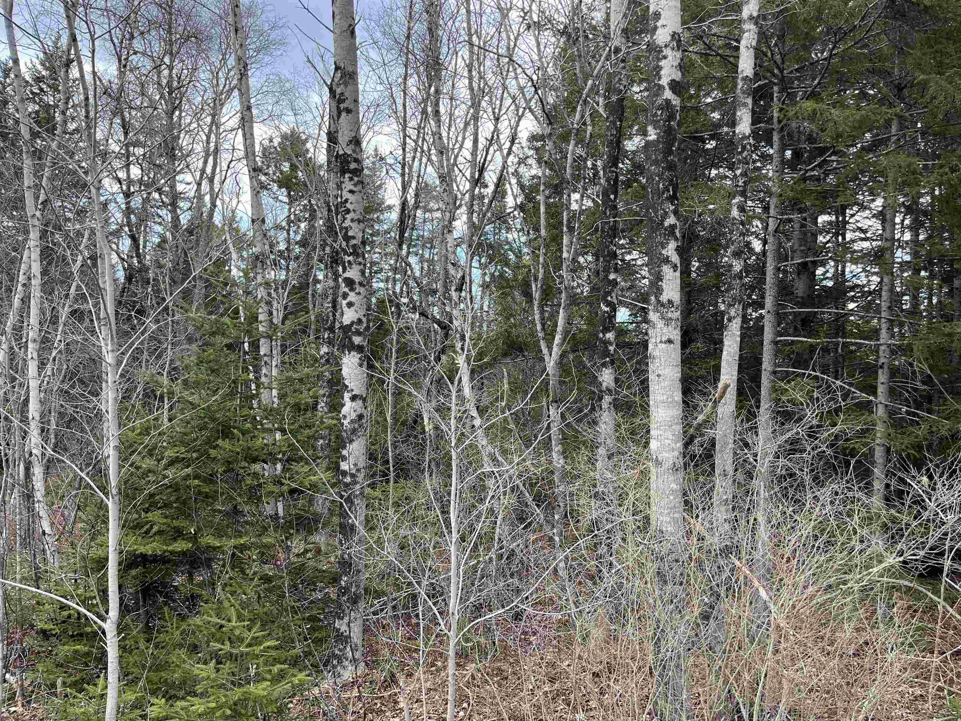 $42,000.00: N-200 Sarty Road, Hebbs Cross