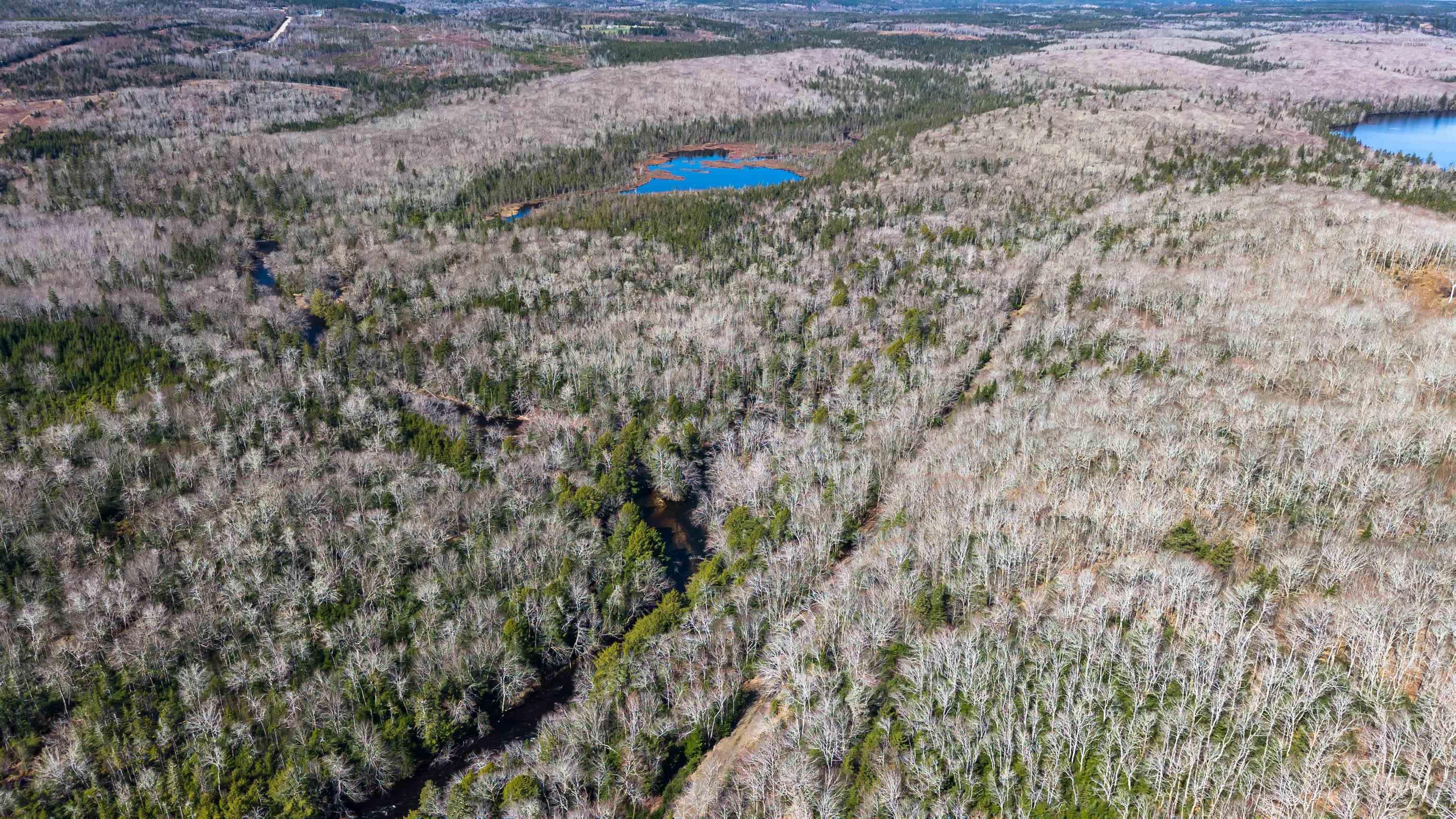 $33,999.00: Lot 102 Private Road, Guysborough County