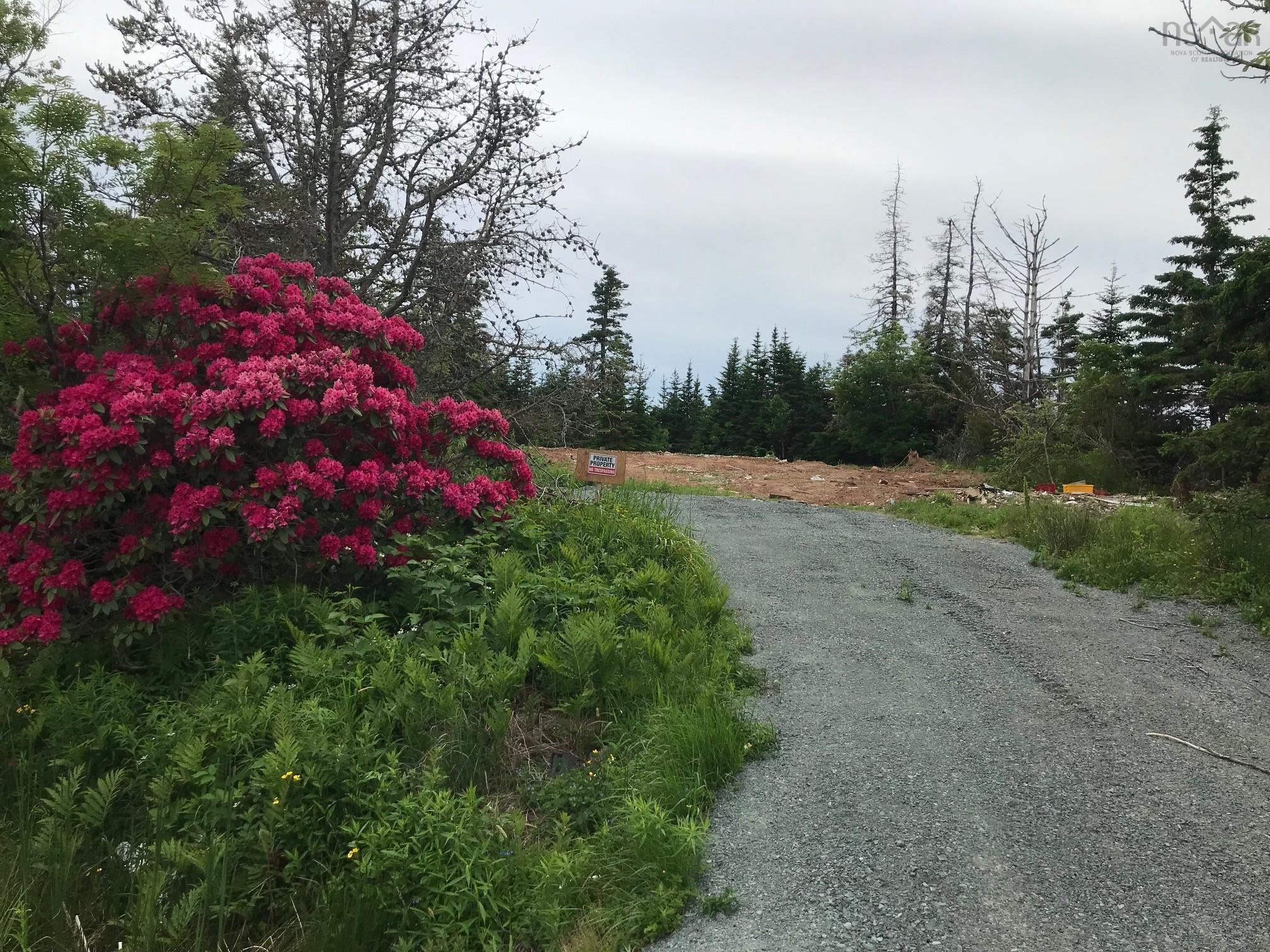 90 Causeway Road, Seaforth, NS (MLS® 202509775)