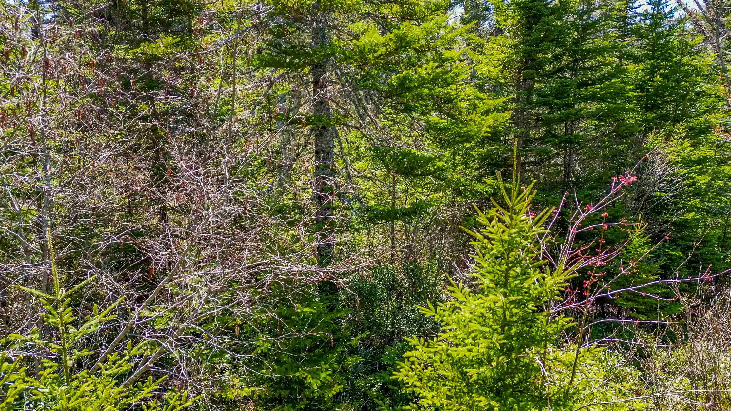 $41,000.00: Lot 21 Somerset Drive, East Sable River