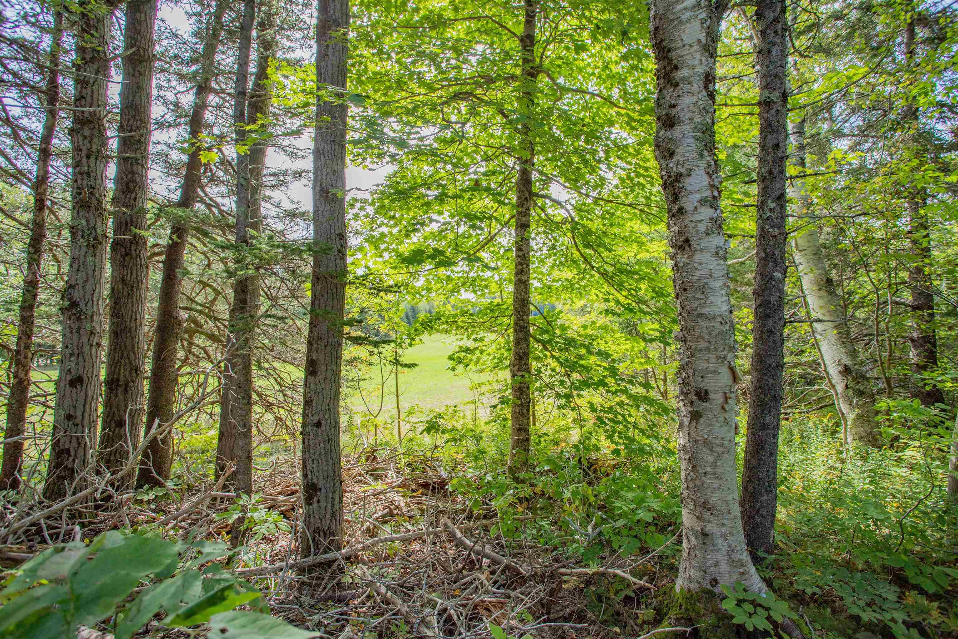 $29,900.00: Lot Hamilton Road, Harbourville