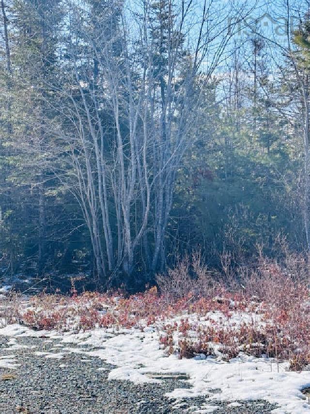 $46,900.00: Lot F2 Highway 331, Petite Rivière