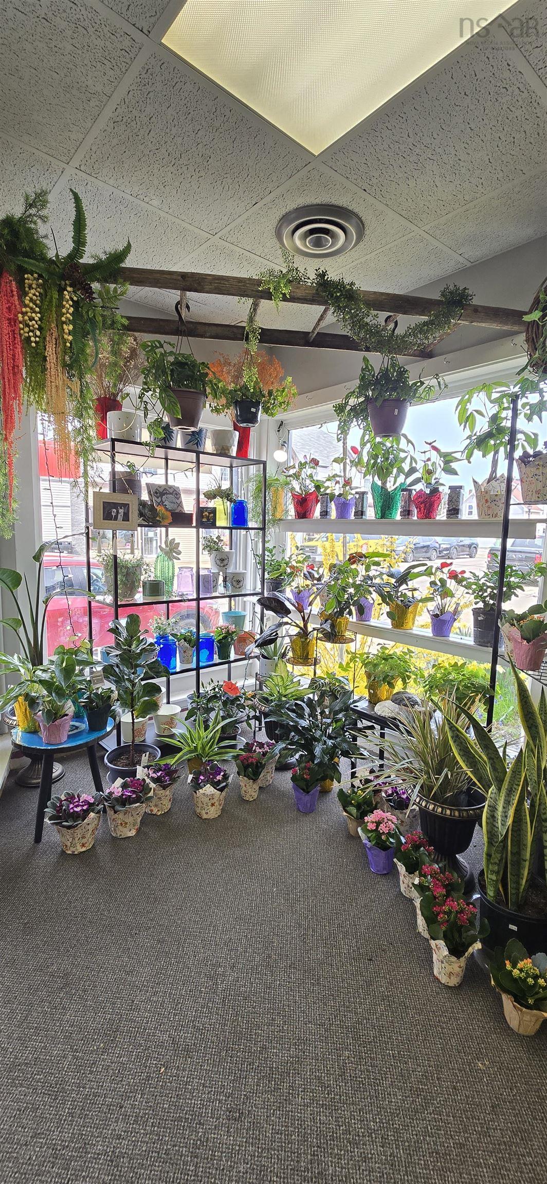 $87,900.00: 56 Commercial Street, Middleton