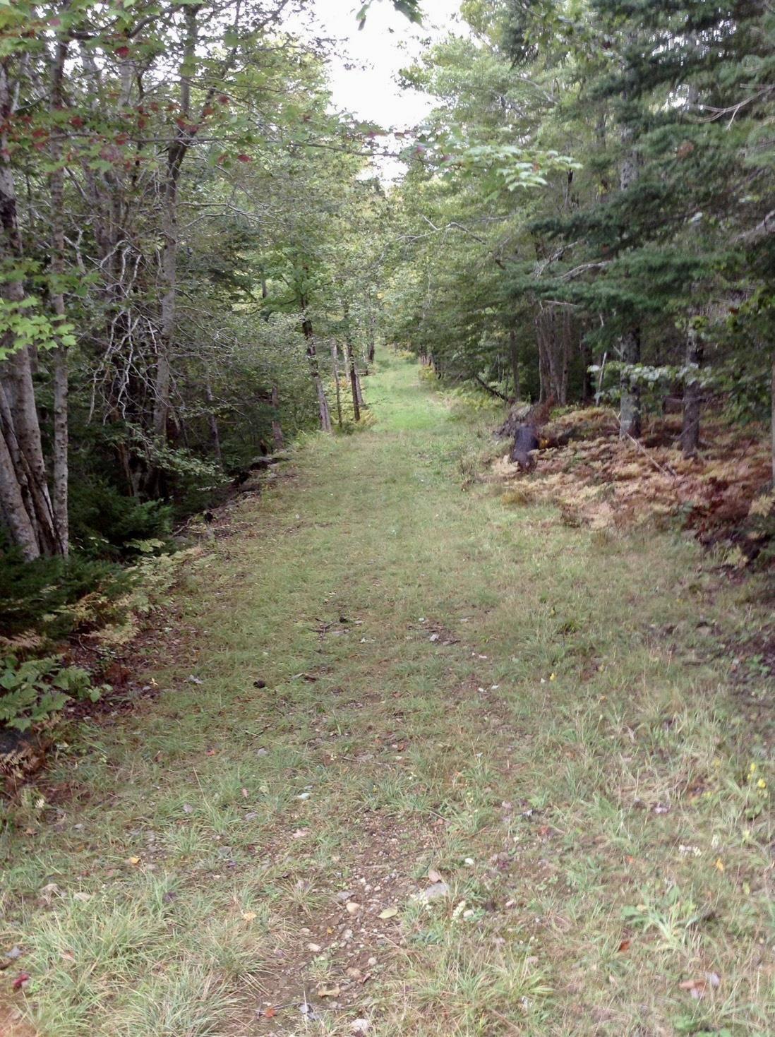 $599,000.00: 255 Virginia Road, Virginia East